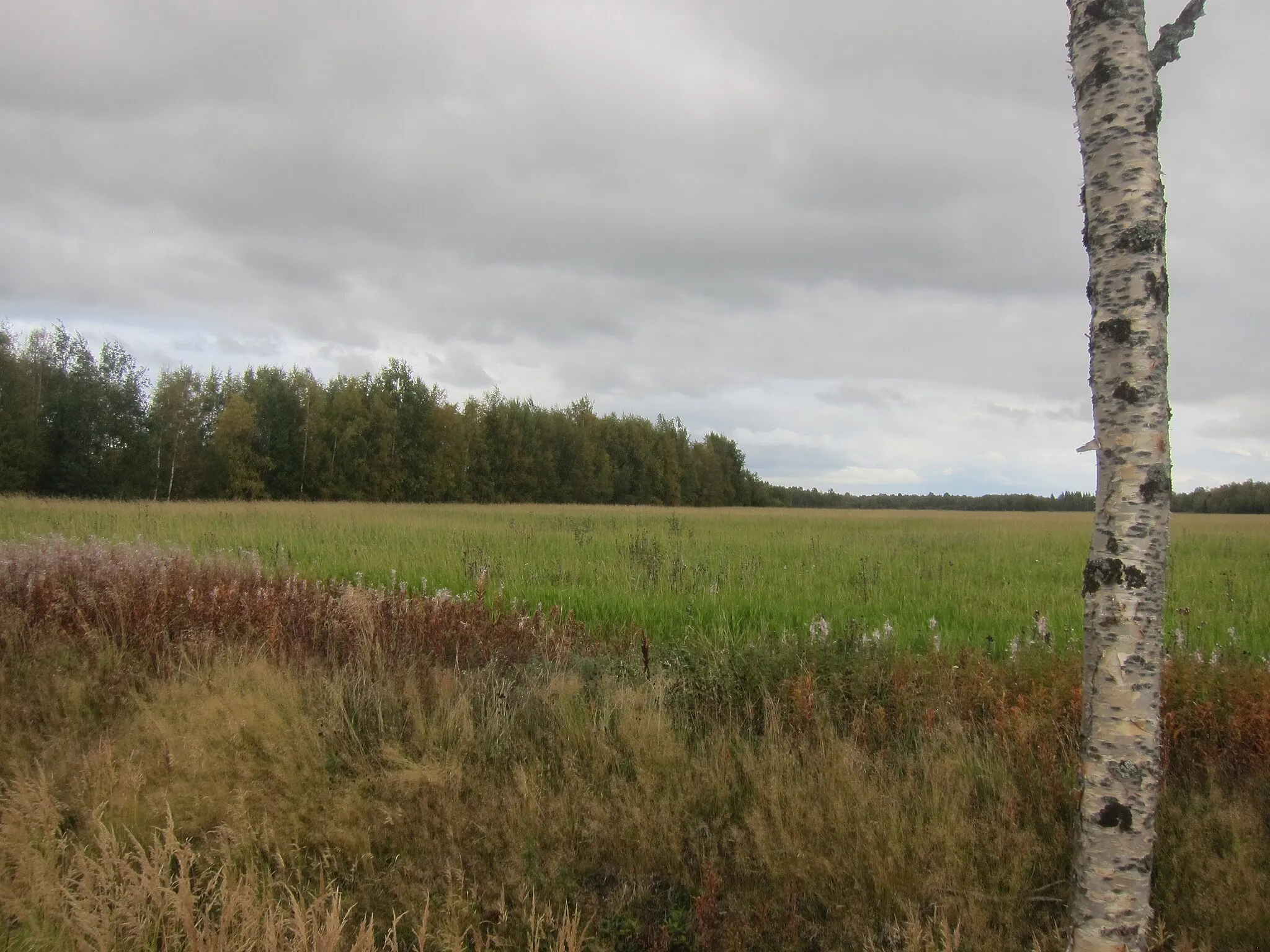 Photo showing: Södra Degernässlättens naturreservat.