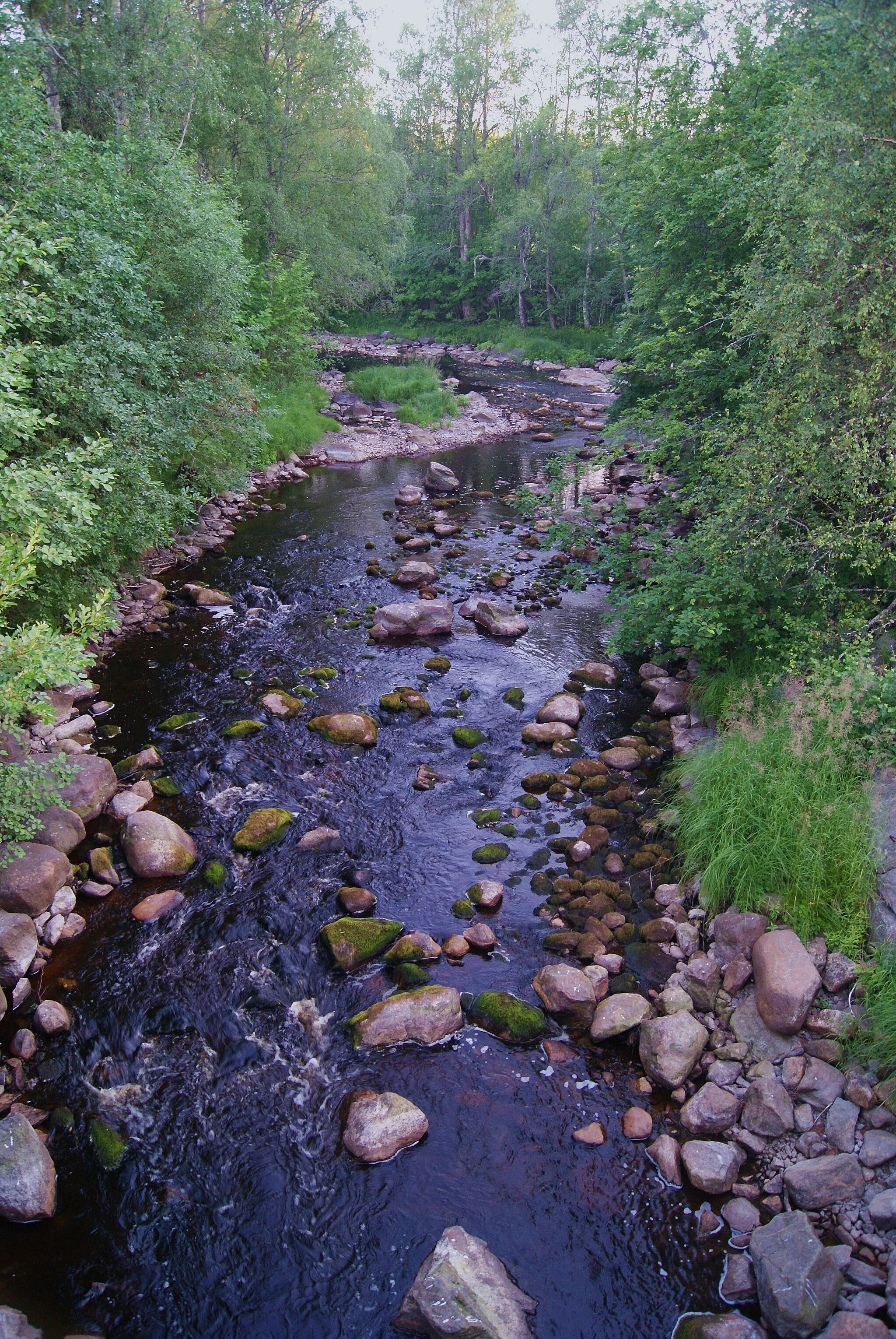 Photo showing: Dalkarlsån. The photo is taken by the river where it passes the village Dalkarlså
