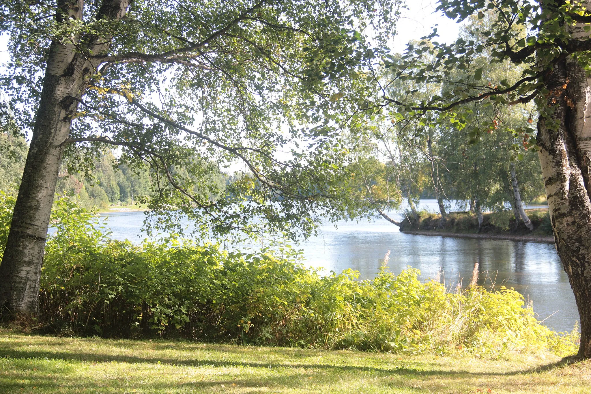 Photo showing: Skellefteå River