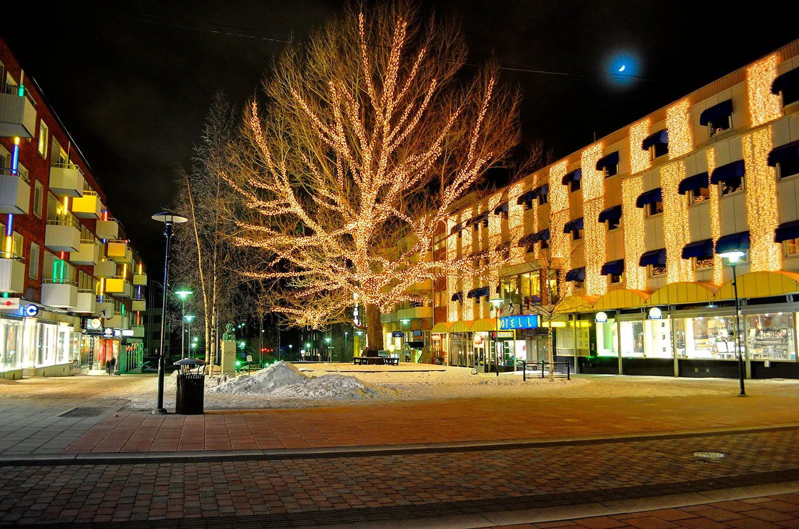 Photo showing: Tree in central Piteå