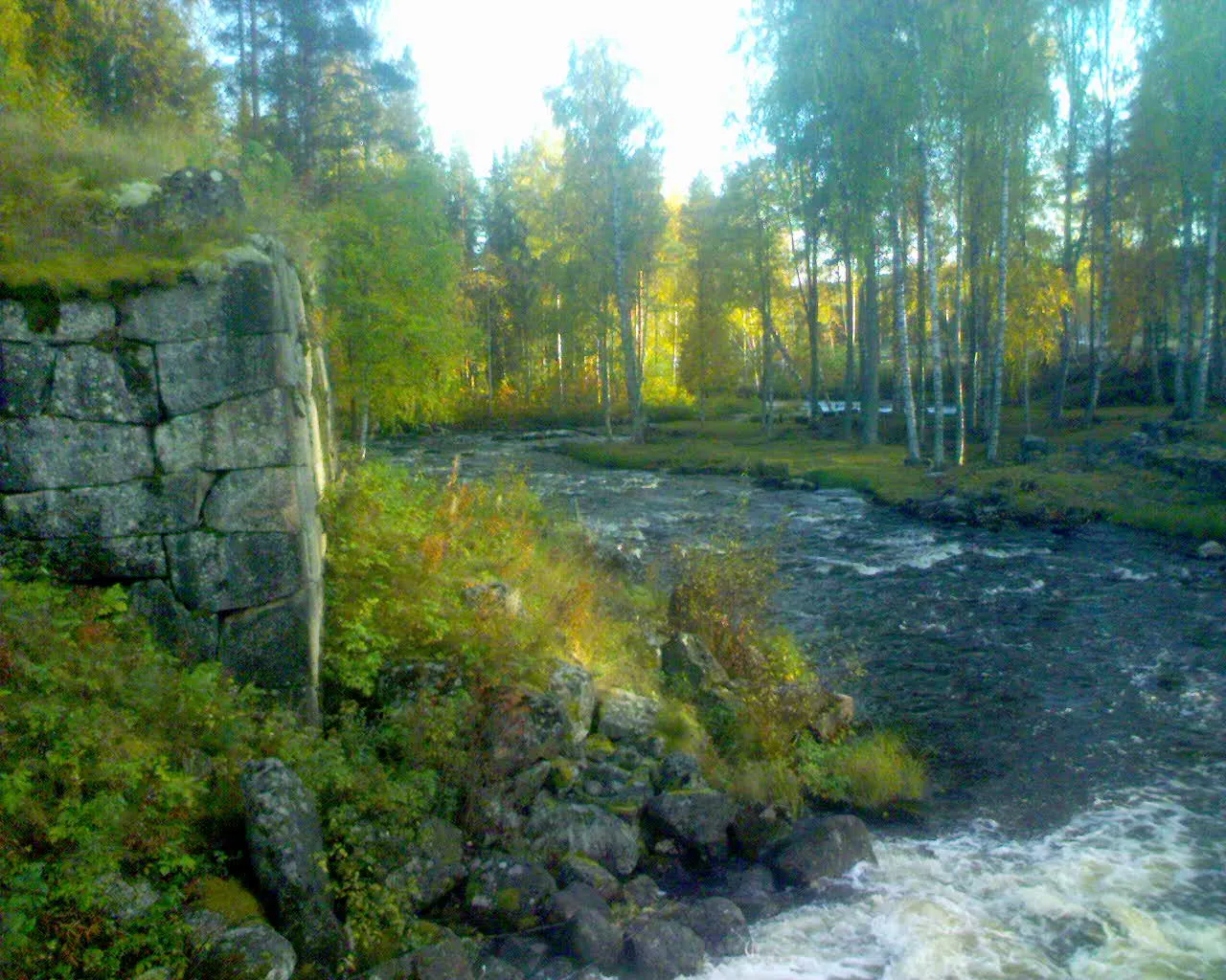 Photo showing: Alån vid Selets bruk september 2007