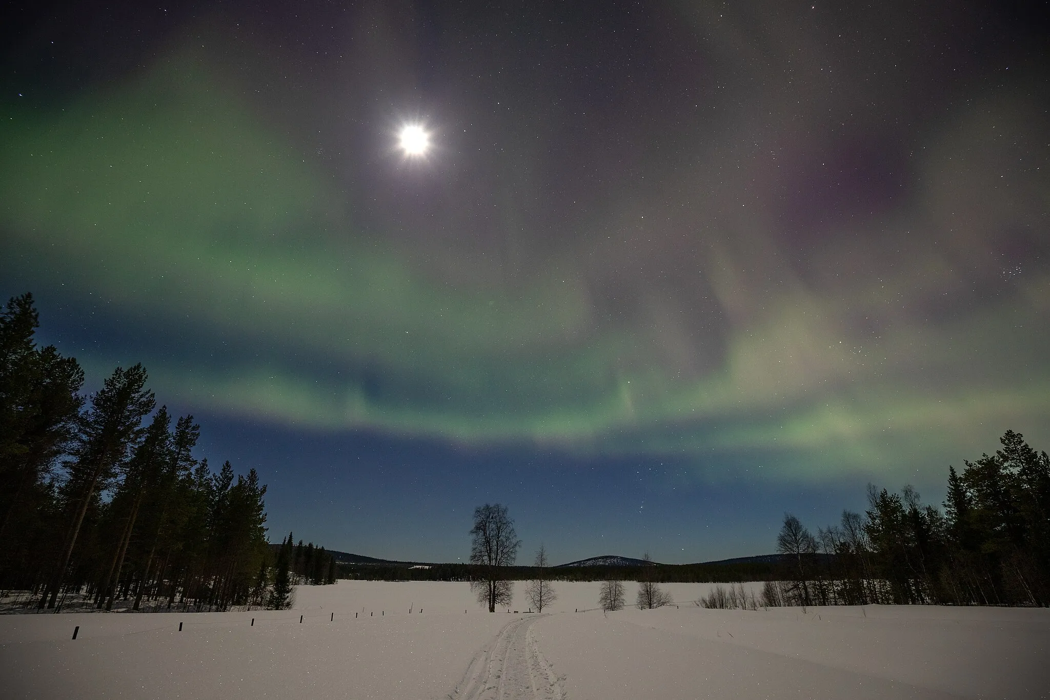 Photo showing: Tjäktjus, Norrbotten