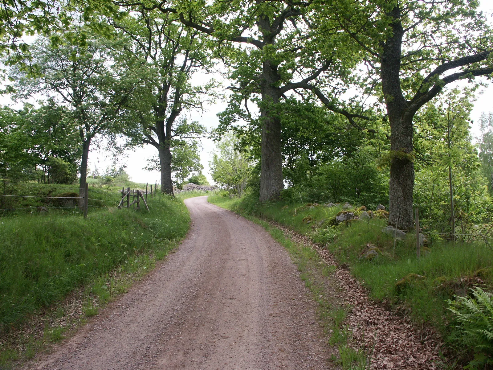 Photo showing: Small road