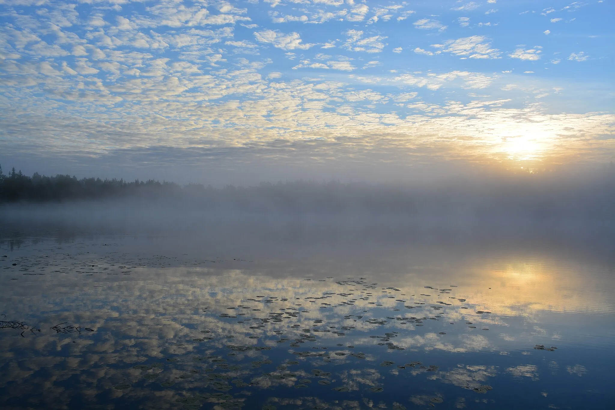 Photo showing: Bommesjö