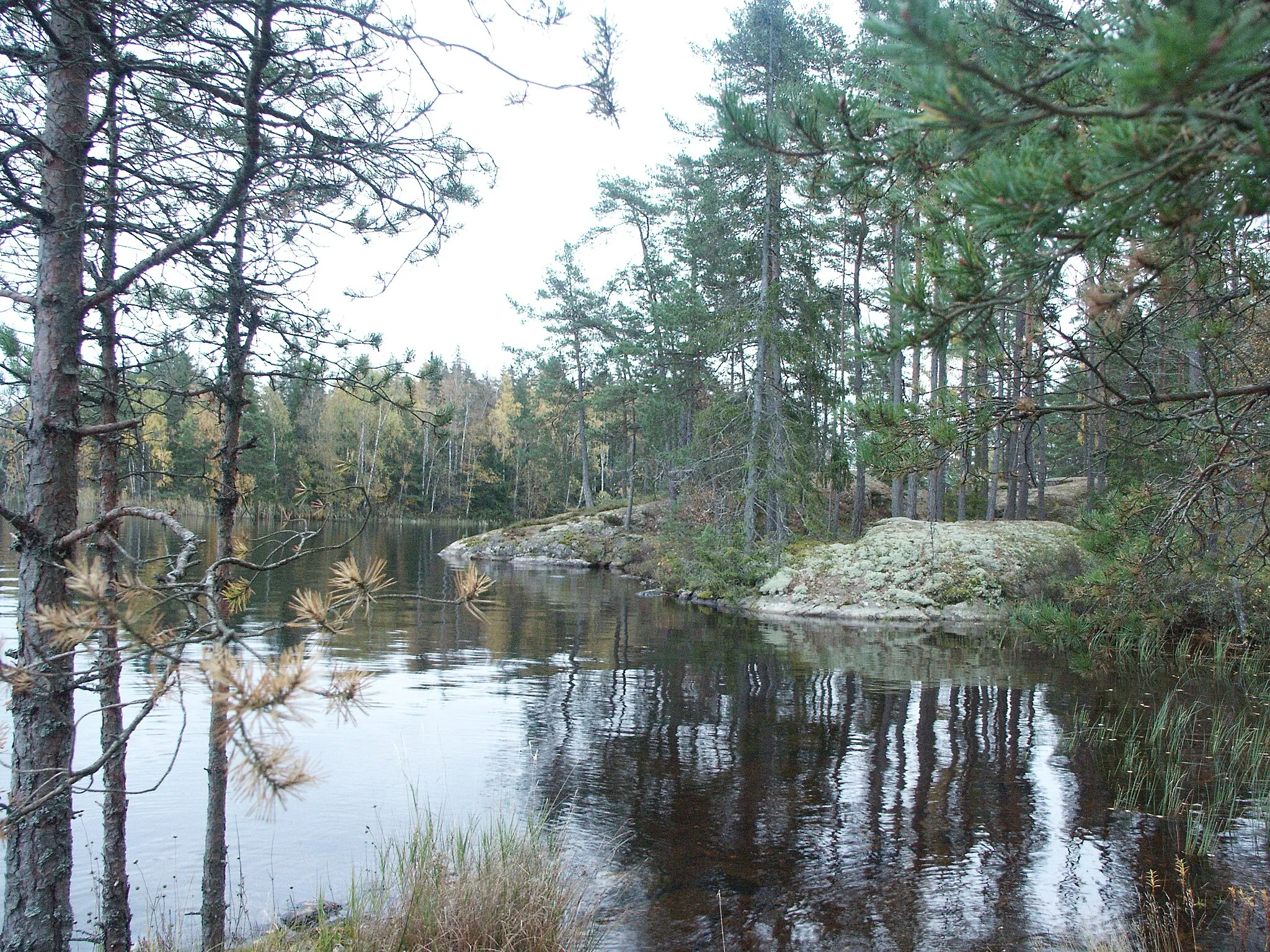 Photo showing: Naturbild