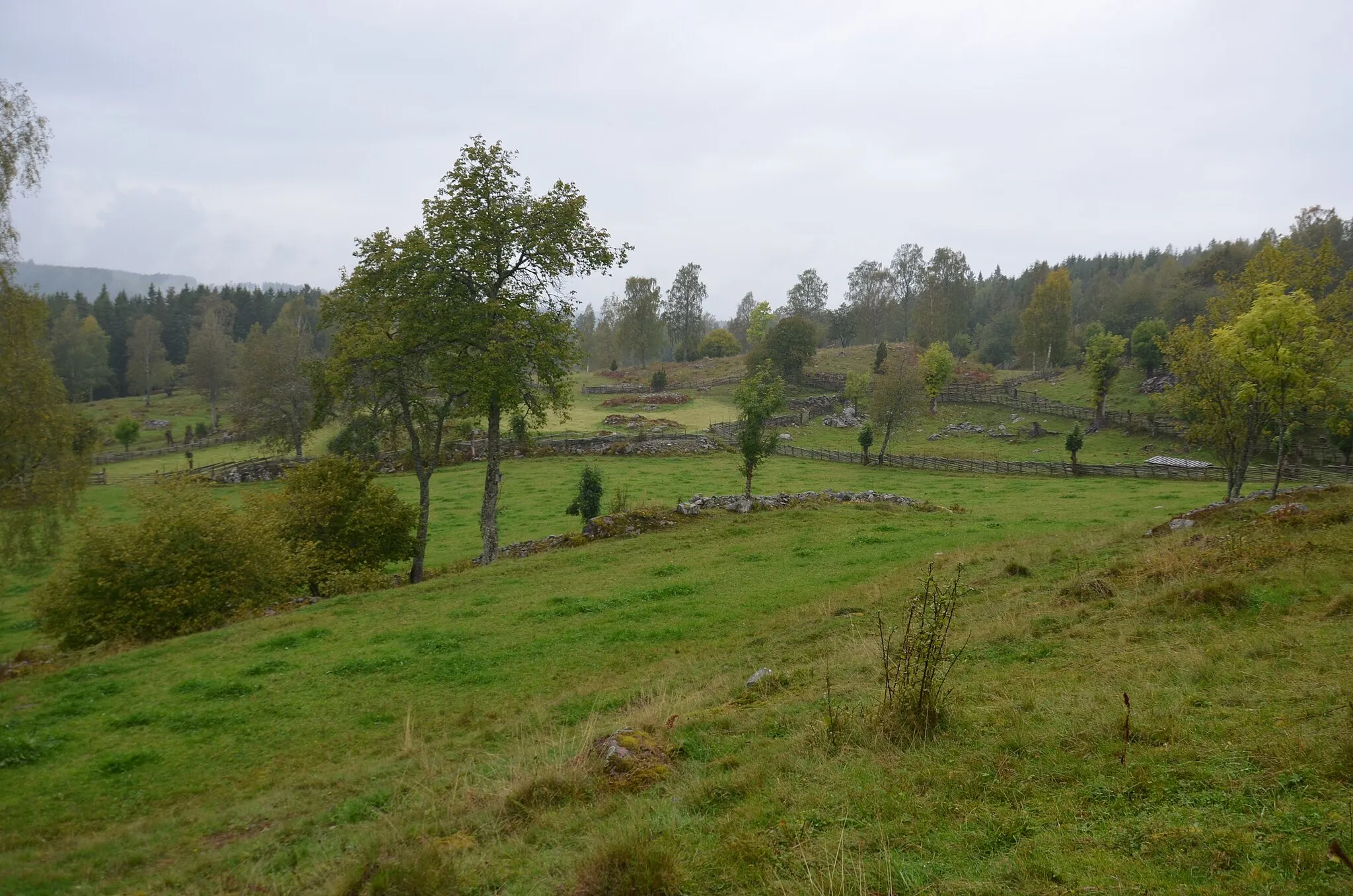 Photo showing: Village Åsen,Swedish heritage area, Haurida
