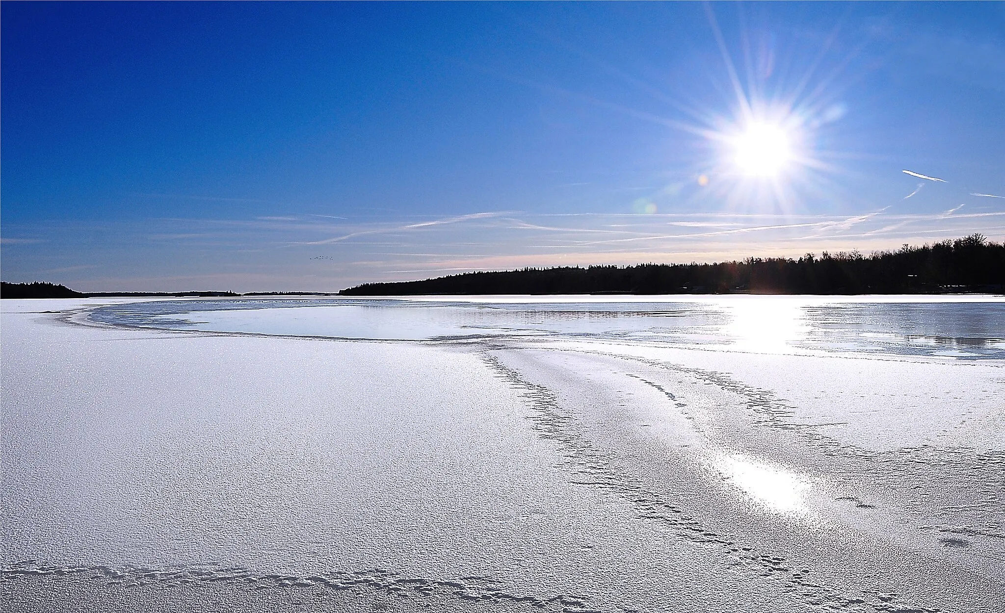 Photo showing: Winter