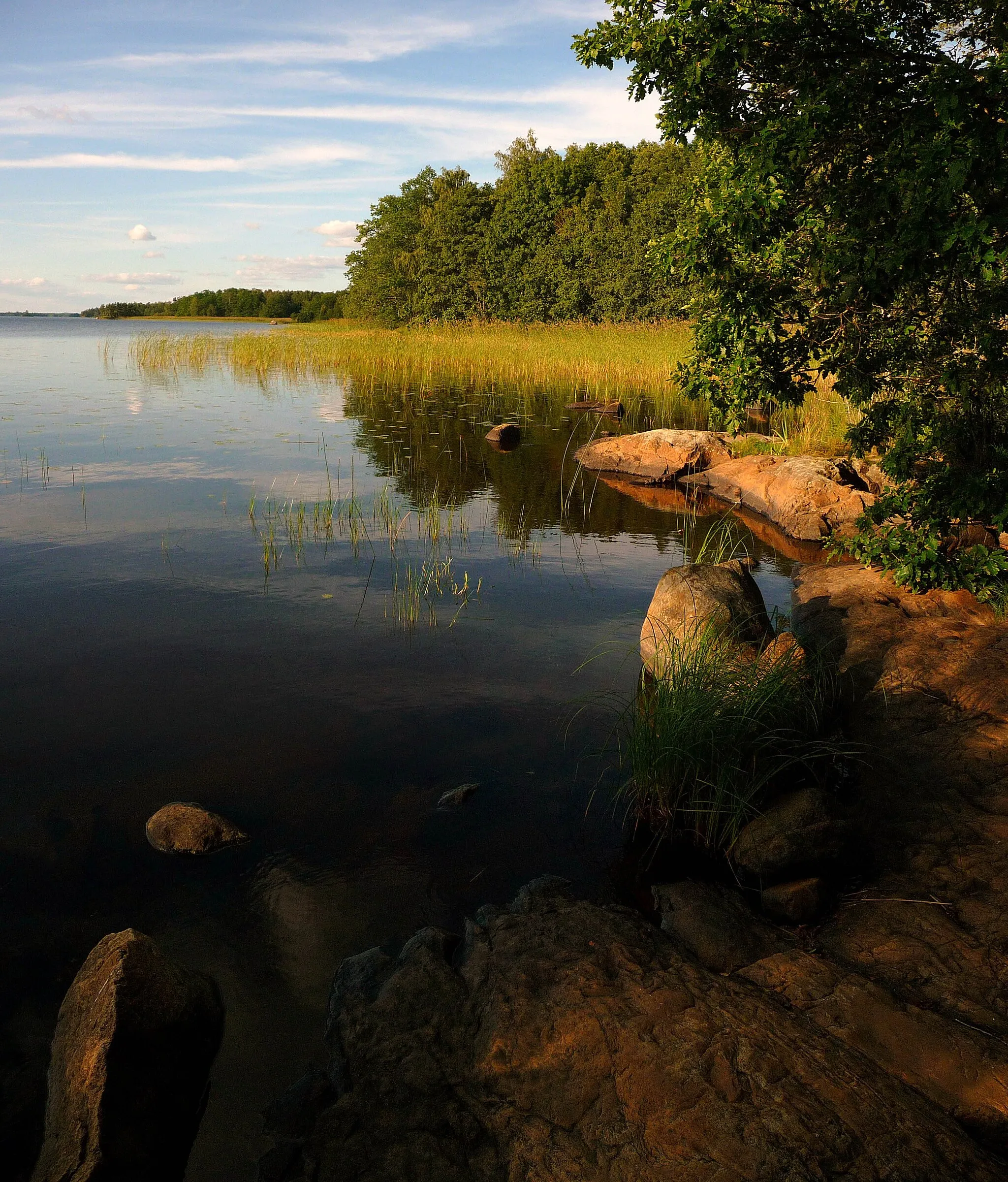 Photo showing: Åsnen,august