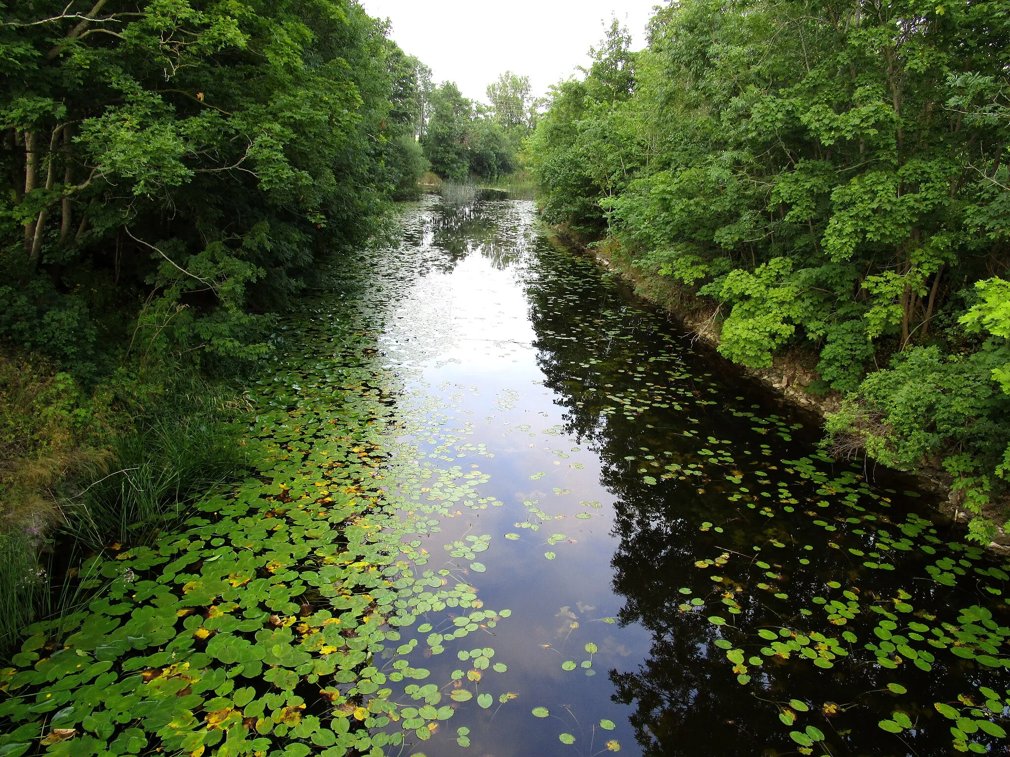 Photo showing: Hörsne stream (aka Gothemsån) Gotland Sweden