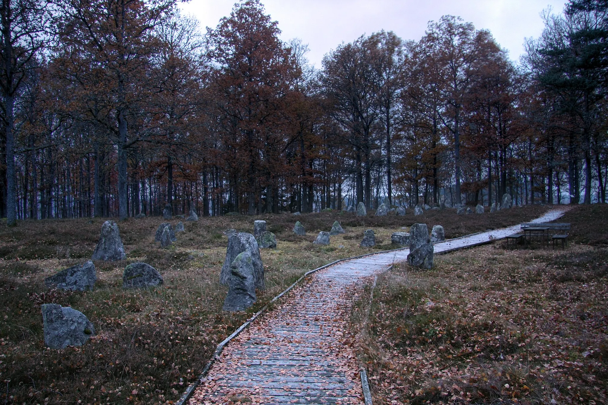 Photo showing: Mala stenar in Hässleholm Municipality, Sweden, is an area with six stone ships from the iron age.