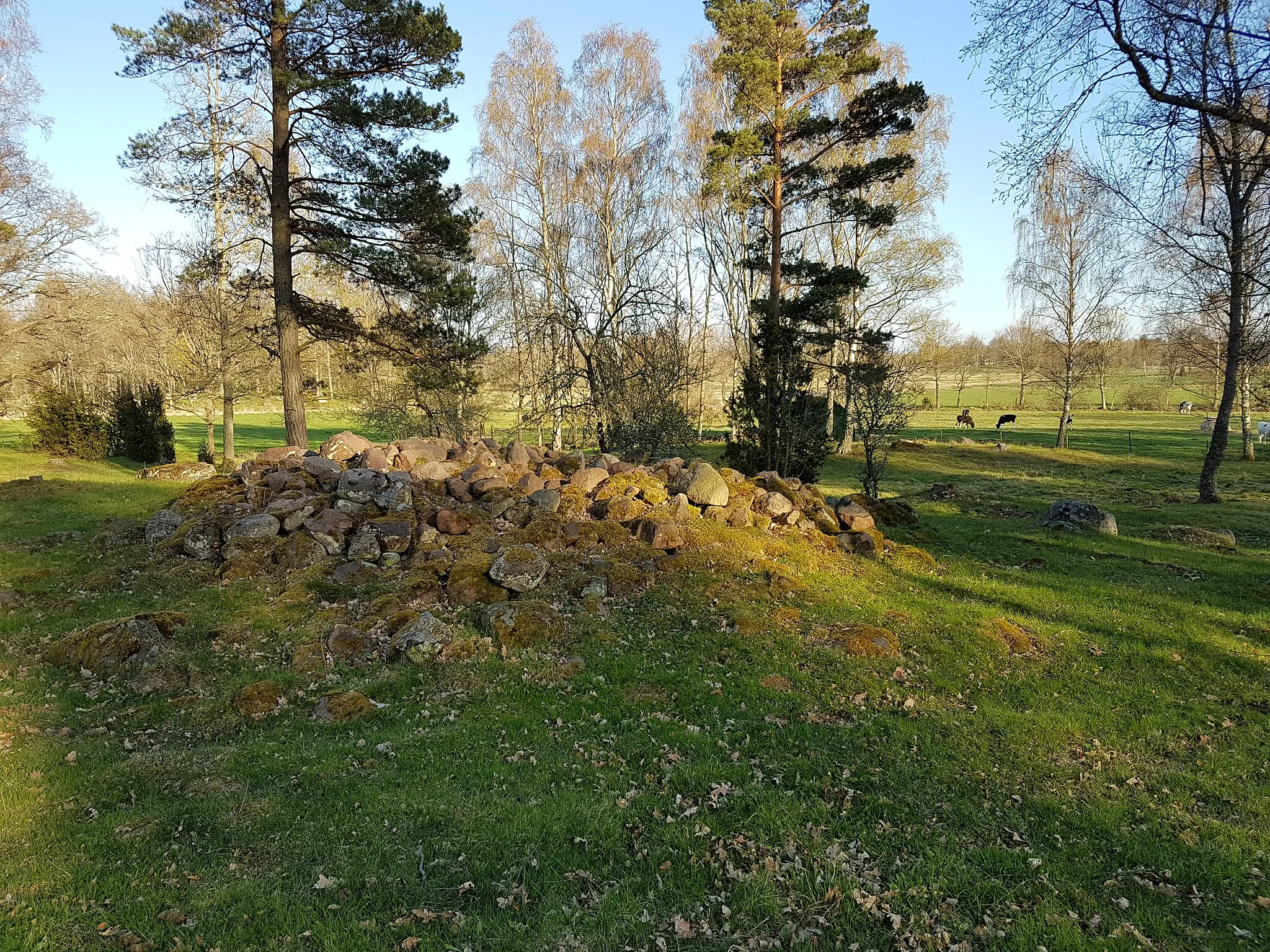 Photo showing: This is a picture of an archaeological site or a monument in Sweden, number 1b0cfd68-e0ac-45b4-8ab9-78c0edbdfdc9 in the RAÄ Fornsök database.