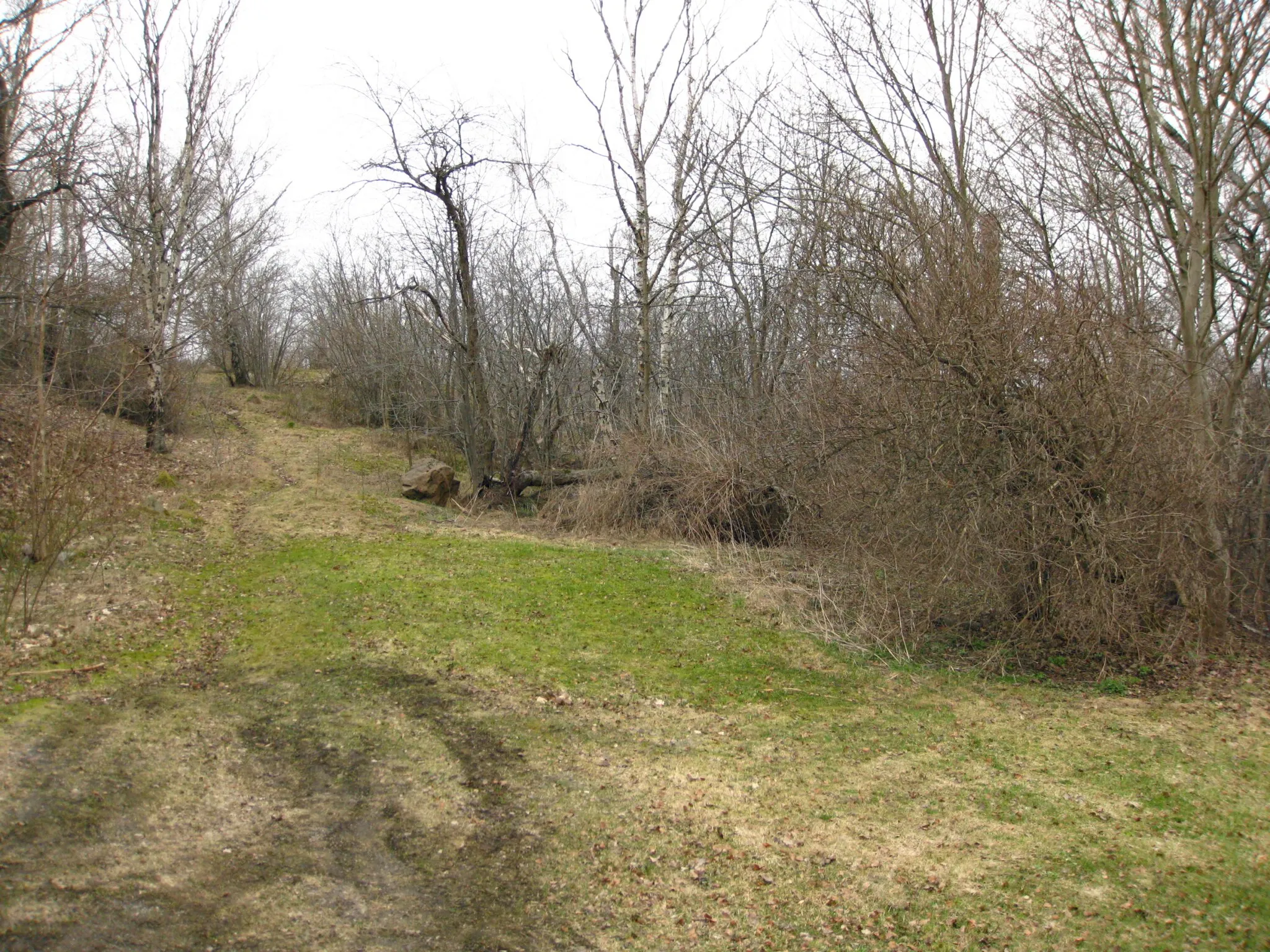 Photo showing: Hjorthagsparken, Hjorthagen, Stockholm.