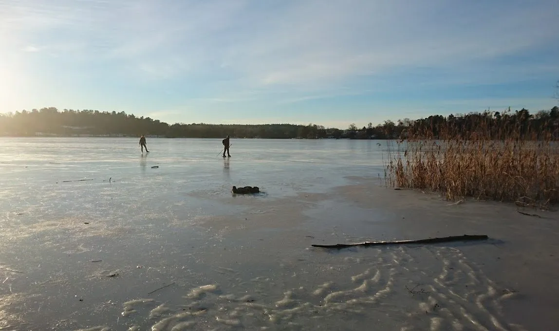 Photo showing: Ice skaters on a frozen Norrviken lake, Sollentuna, outside Stockholm.