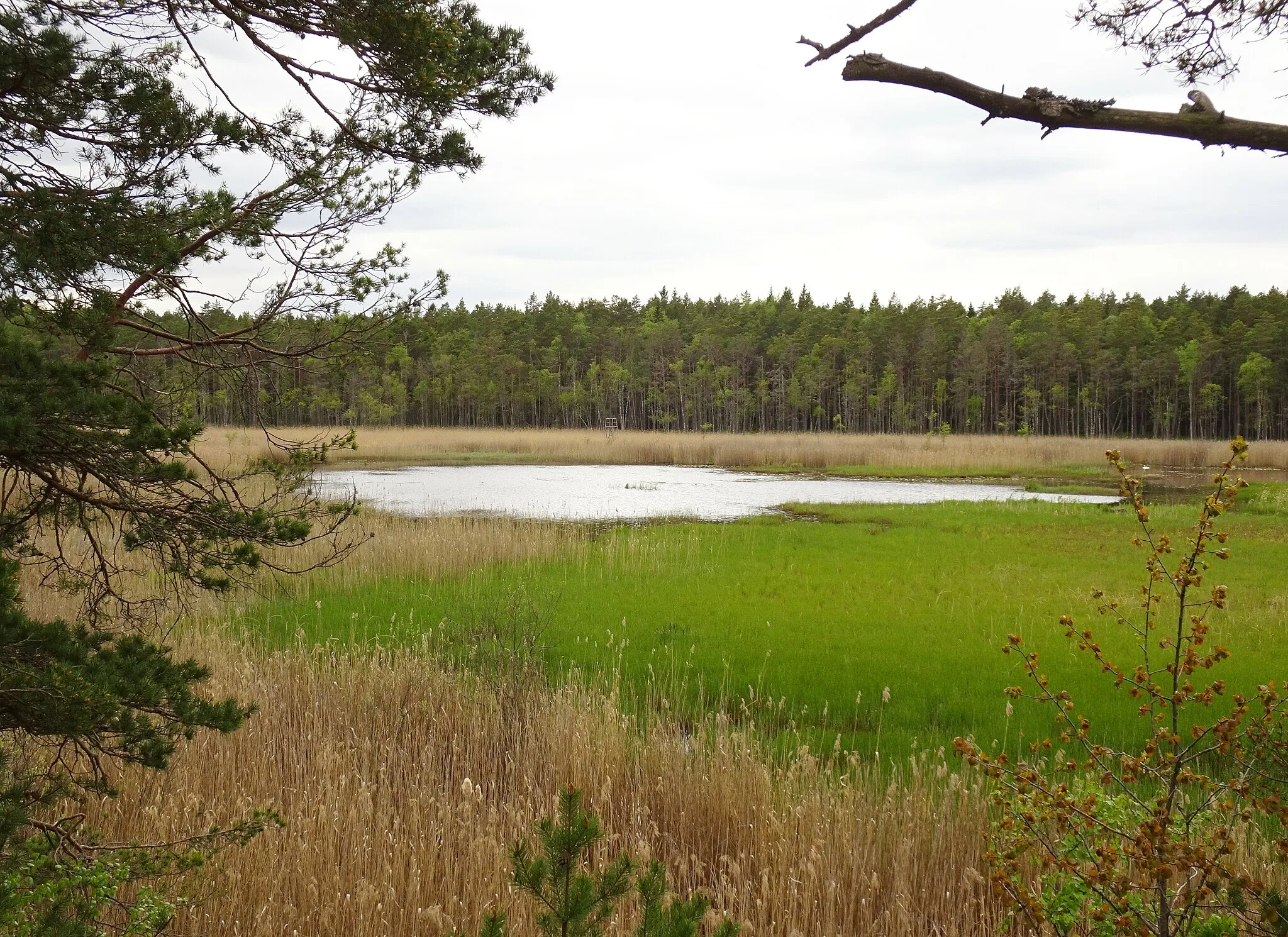 Photo showing: Acksjön i Salemns kommun