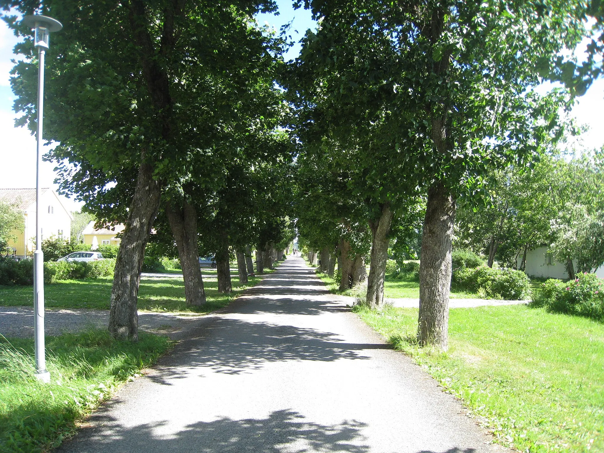 Photo showing: Wenngarn, Allébyn, allén mot öster och Viby by. Lindallén är från 1790-talet. Den södra vägen från slottet leder bort mot Viby by, som är ett statligt byggnadsminne.