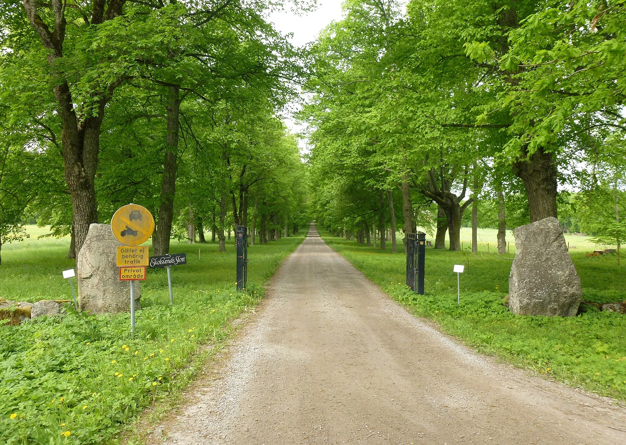 Photo showing: Ekolsunds allé söderifrån