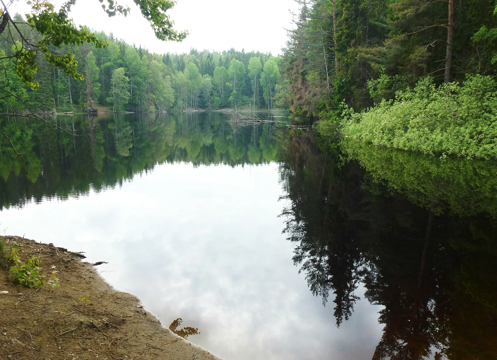 Photo showing: Trollsjöns södra del