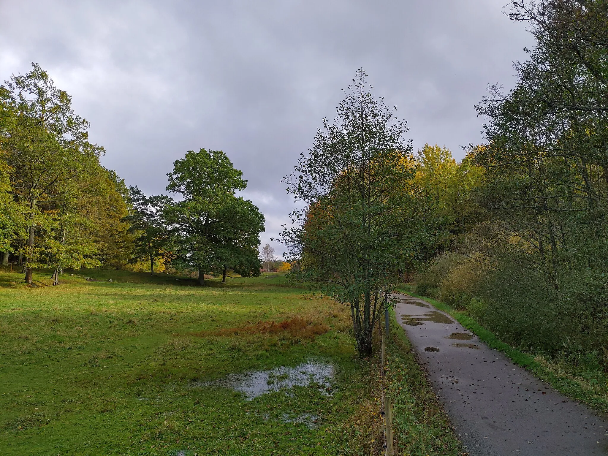 Photo showing: Hage i Alby naturreservat. Tyresö kommun och socken, Södermanland, Stockholms län, Sverige.