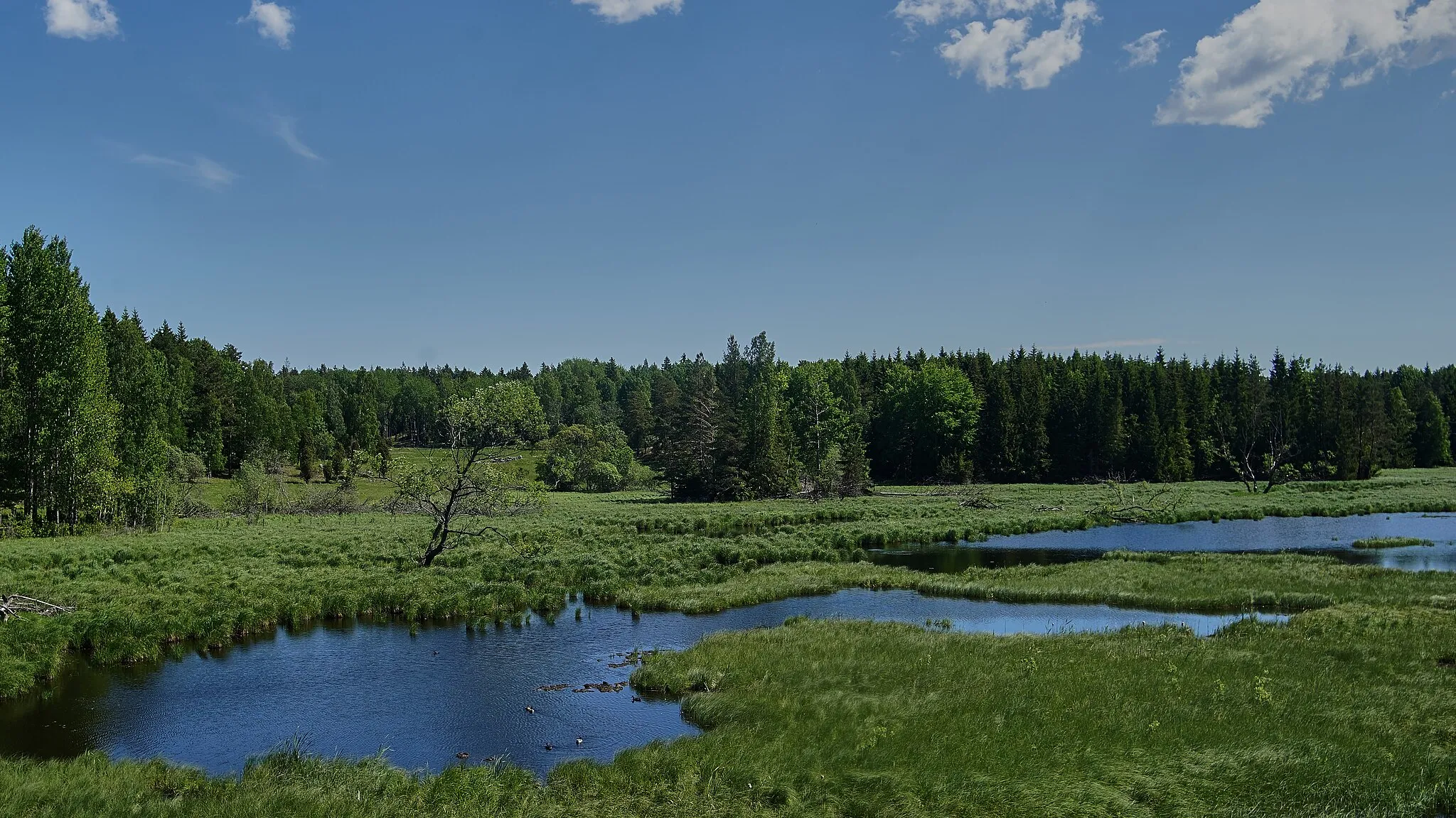 Photo showing: This is a photo of a protected natural area in Sweden with ID: 2001110 .