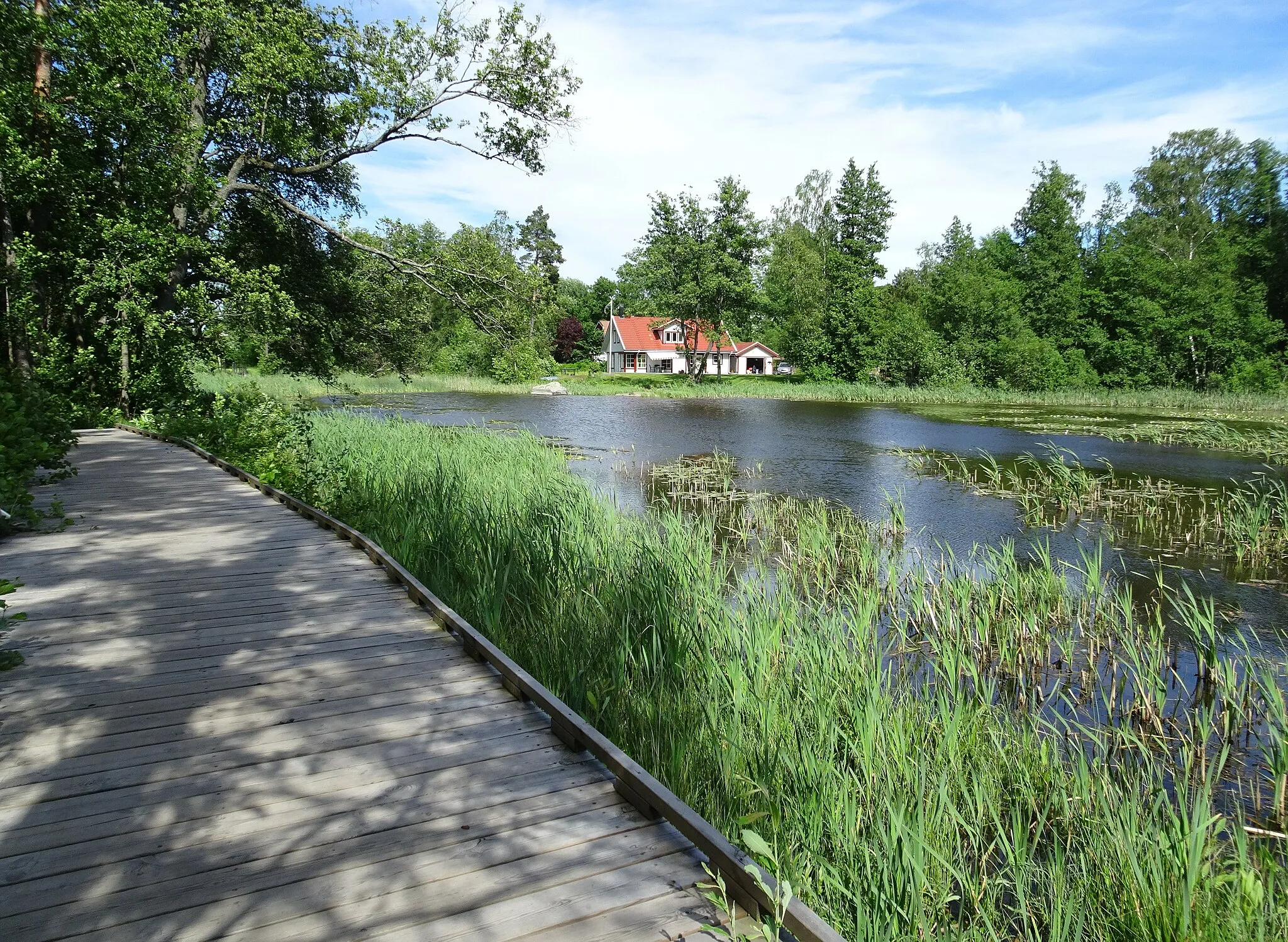 Photo showing: Dammträsket, Haninge kommun