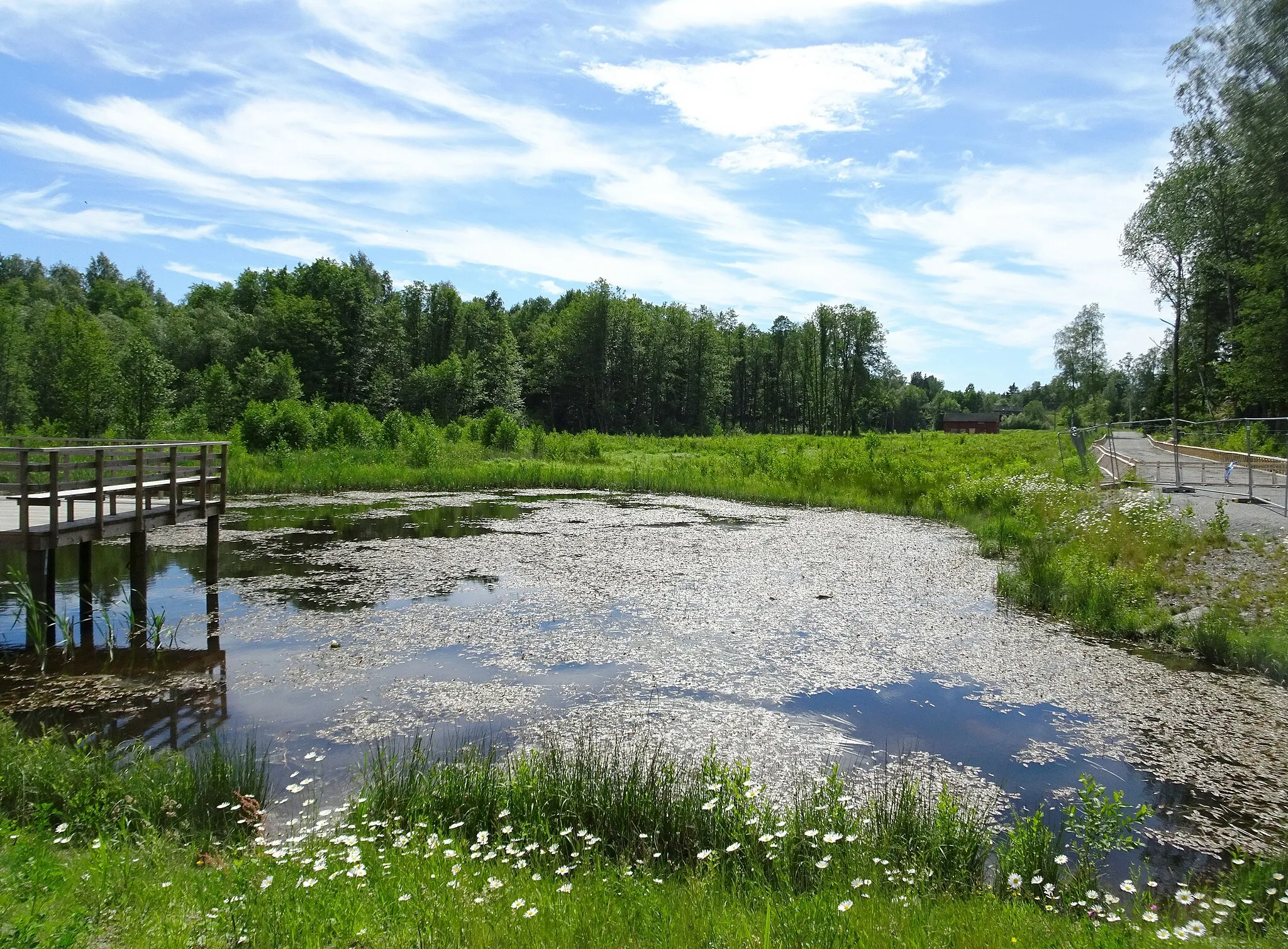 Photo showing: Dammträsket, Haninge kommun