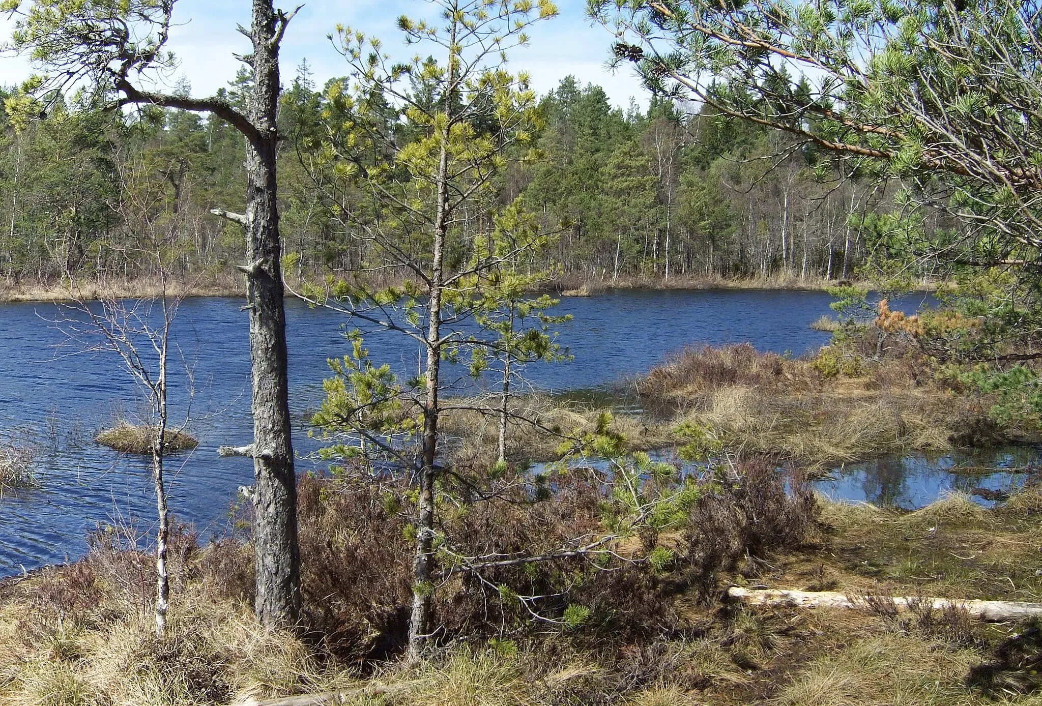 Photo showing: Sjön Trylen i Södermanland/Haninge