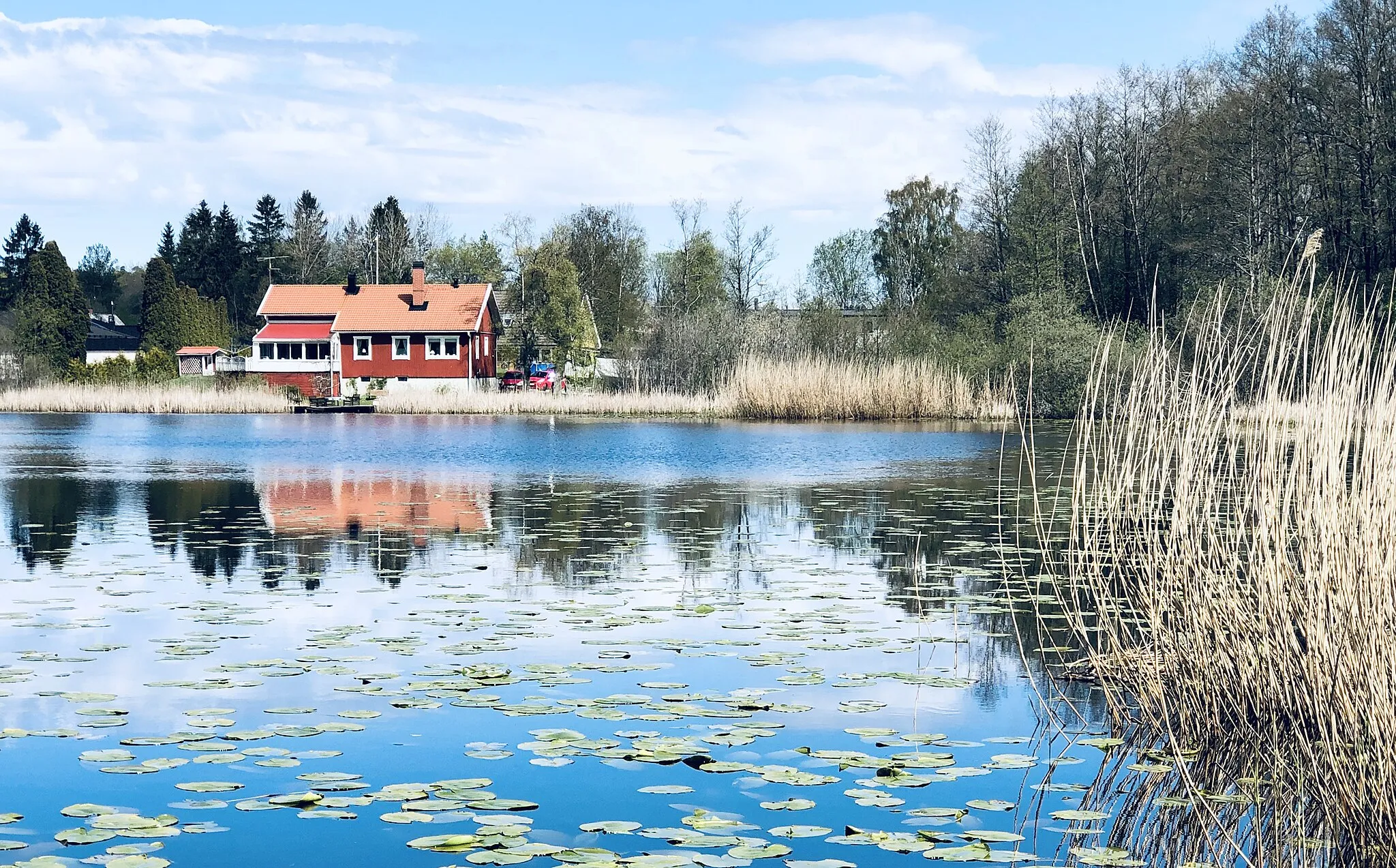 Photo showing: Photo of a water reflection with cloudy sky, a house, trees, long grass helms and leaves.
This attractive nature image was created by Santrina HUYNH. This casual pond teaches us a wisdom. Life looks like a water mirror with reflection of our inner thoughts. All hidden things will be exposed in the light eventually.

The blue sky, the red house and the green trees offer a freedom in nature.