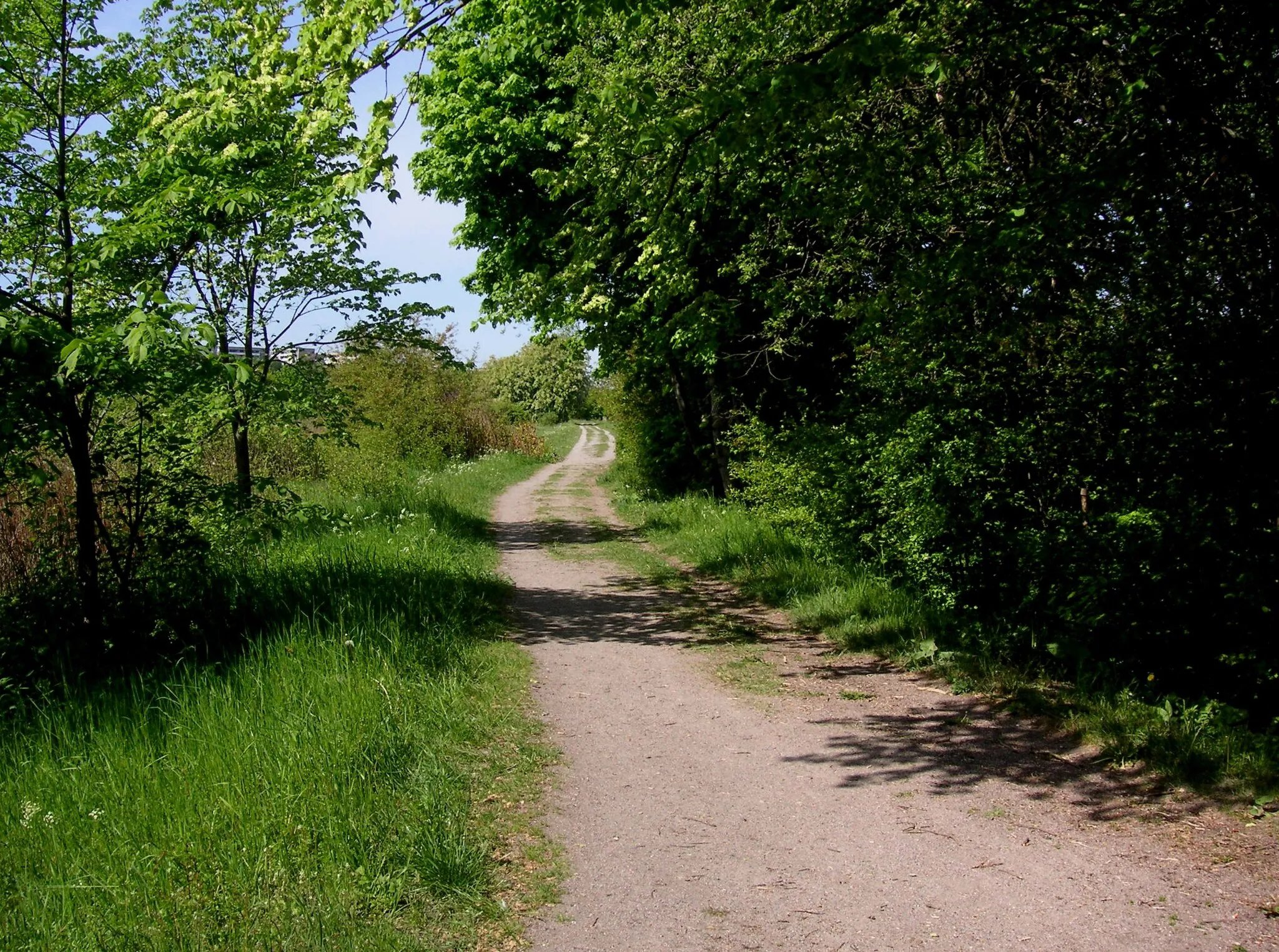 Photo showing: Göta landsväg i Årsta, på Årstafältet