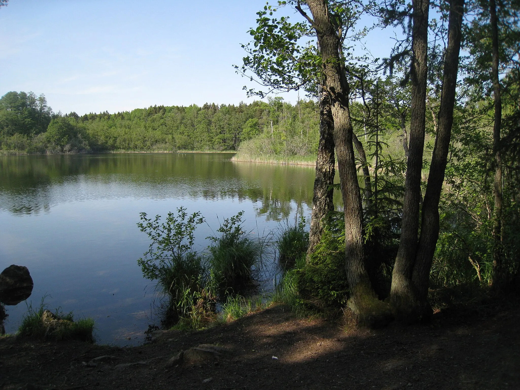 Photo showing: Sjön Judarn från söder, i Judarskogens naturreservat, Bromma, Stockholm.