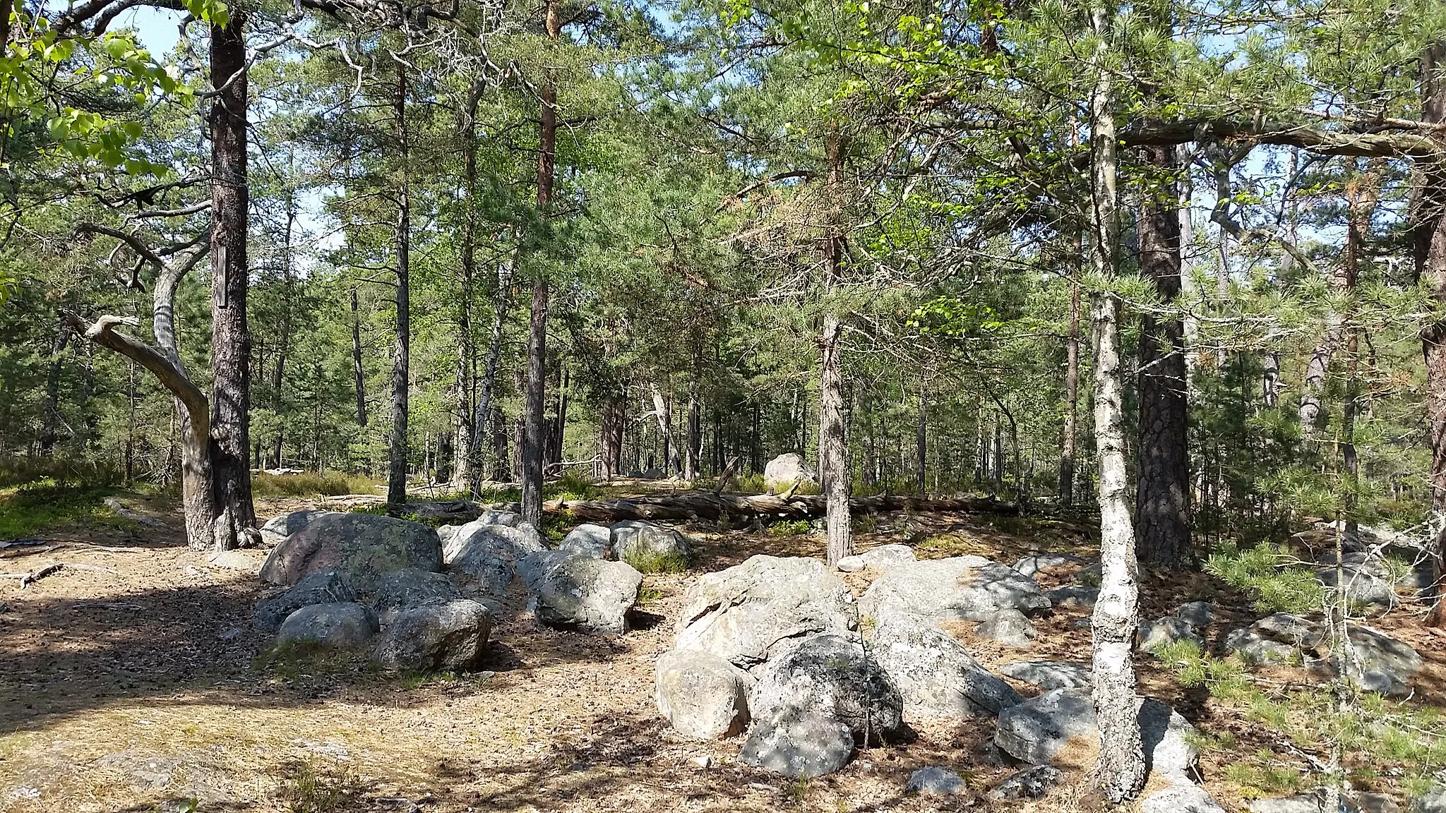 Photo showing: Skevik nature reserve in Värmdö municipality, Sweden.