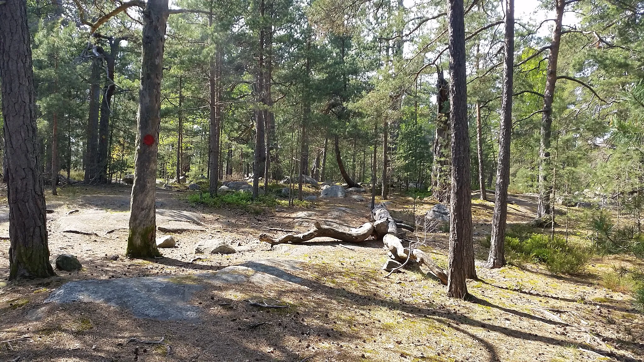 Photo showing: Skevik nature reserve in Värmdö municipality, Sweden.