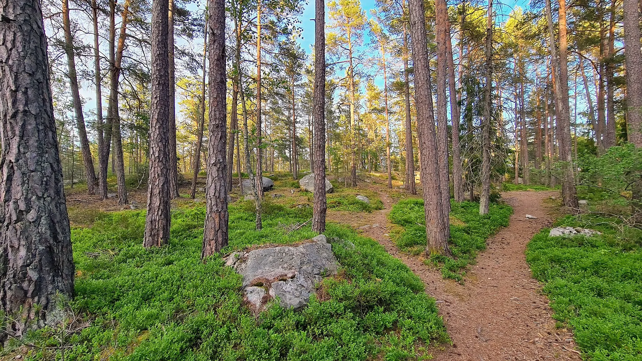 Photo showing: Skeviks naturreservat 2020