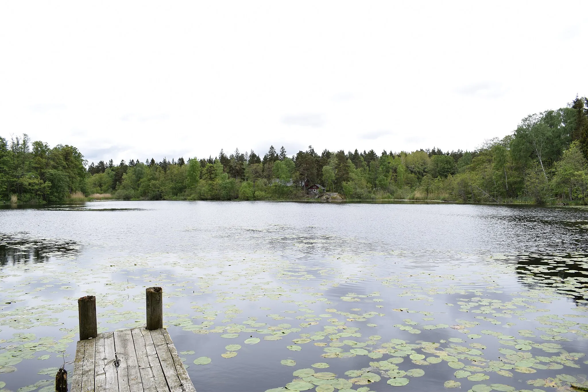 Photo showing: Stockbysjön. Lidingö kommun och socken, Uppland, Stockholms län, Sverige.