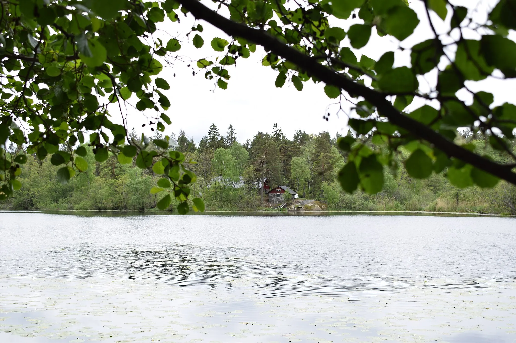 Photo showing: Stockbysjön. Lidingö kommun och socken, Uppland, Stockholms län, Sverige.