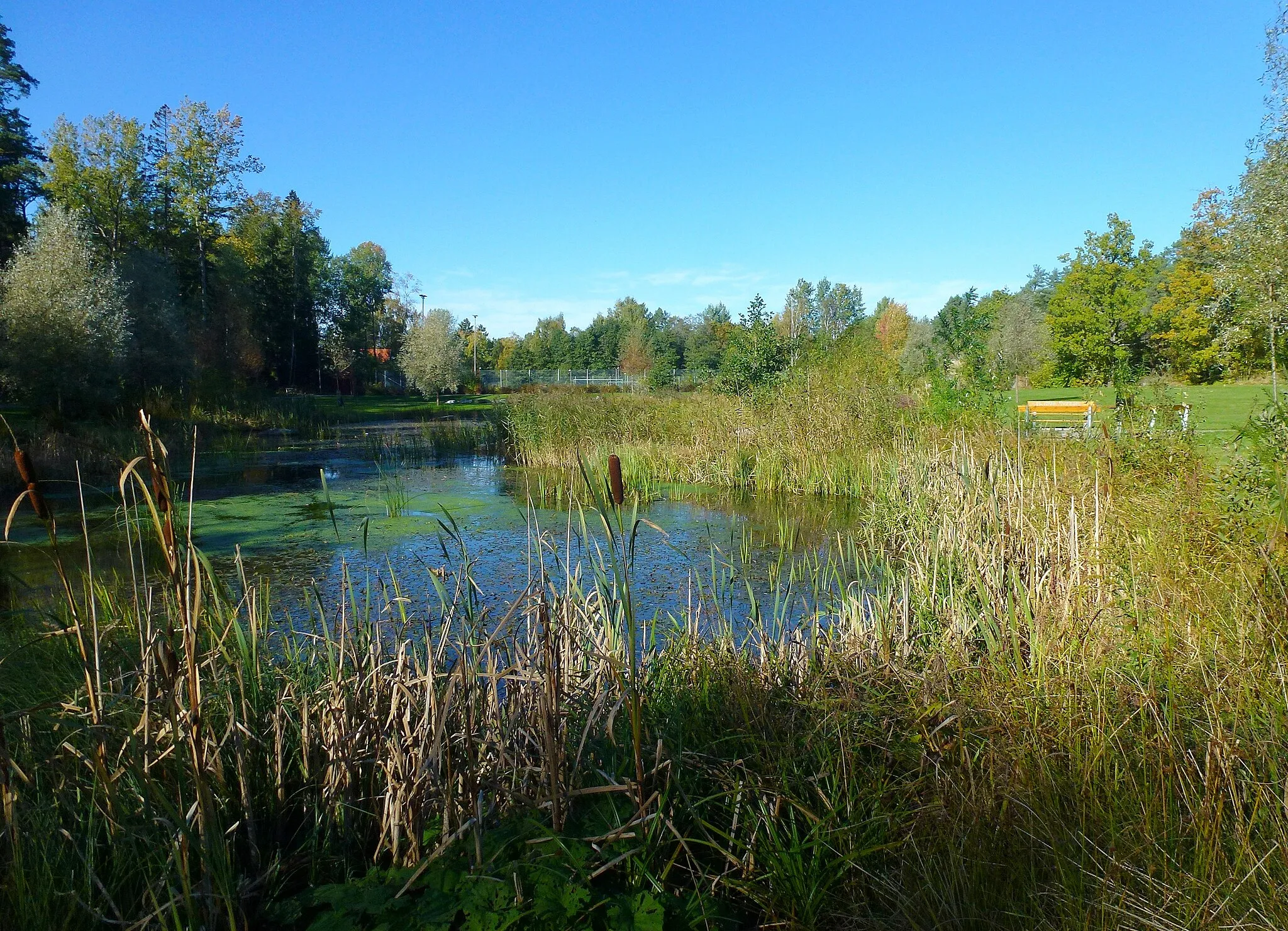 Photo showing: Hedviglundsparken