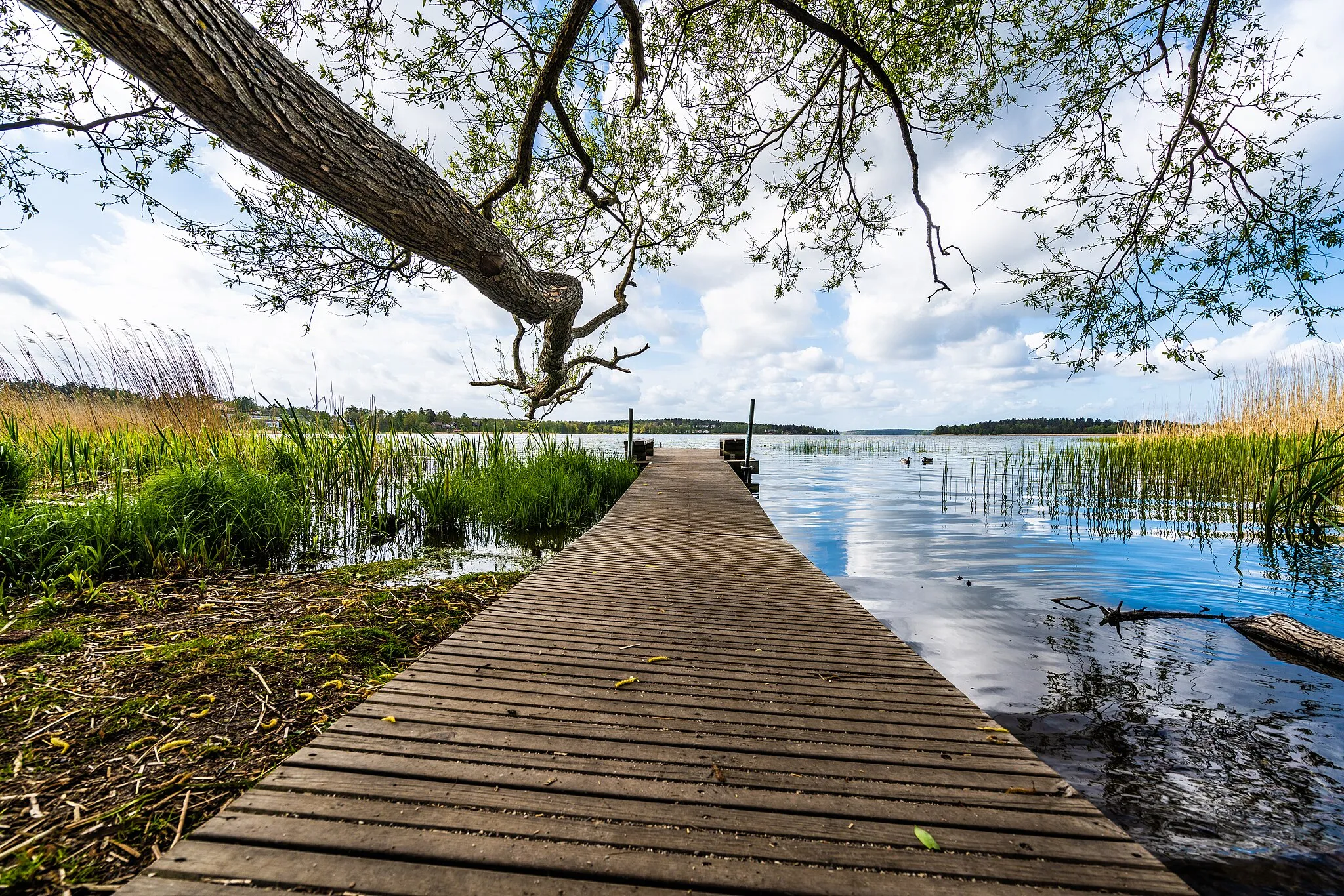 Photo showing: Vallentunasjön