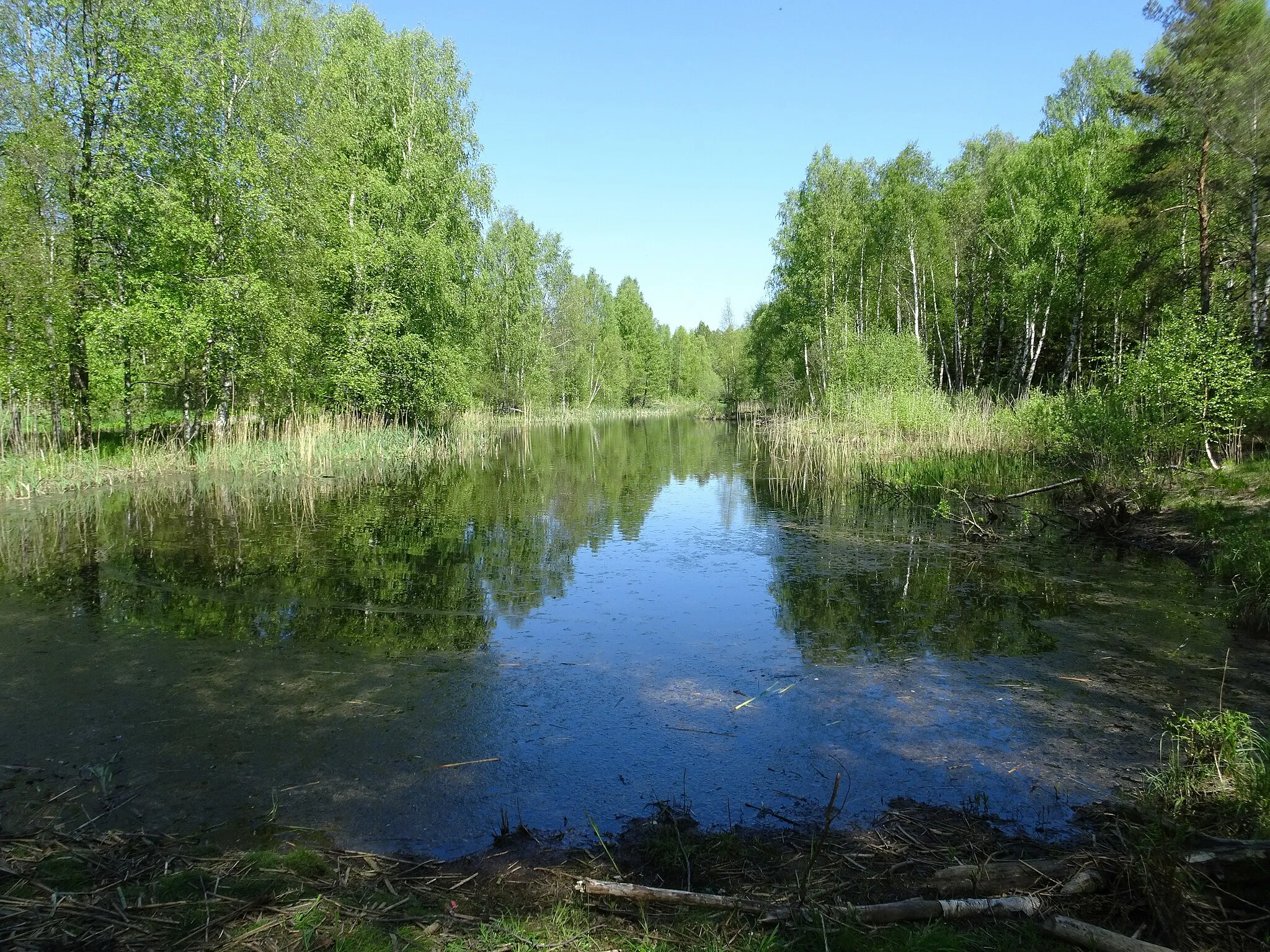 Photo showing: Slätmossens naturpark i Haninge kommun