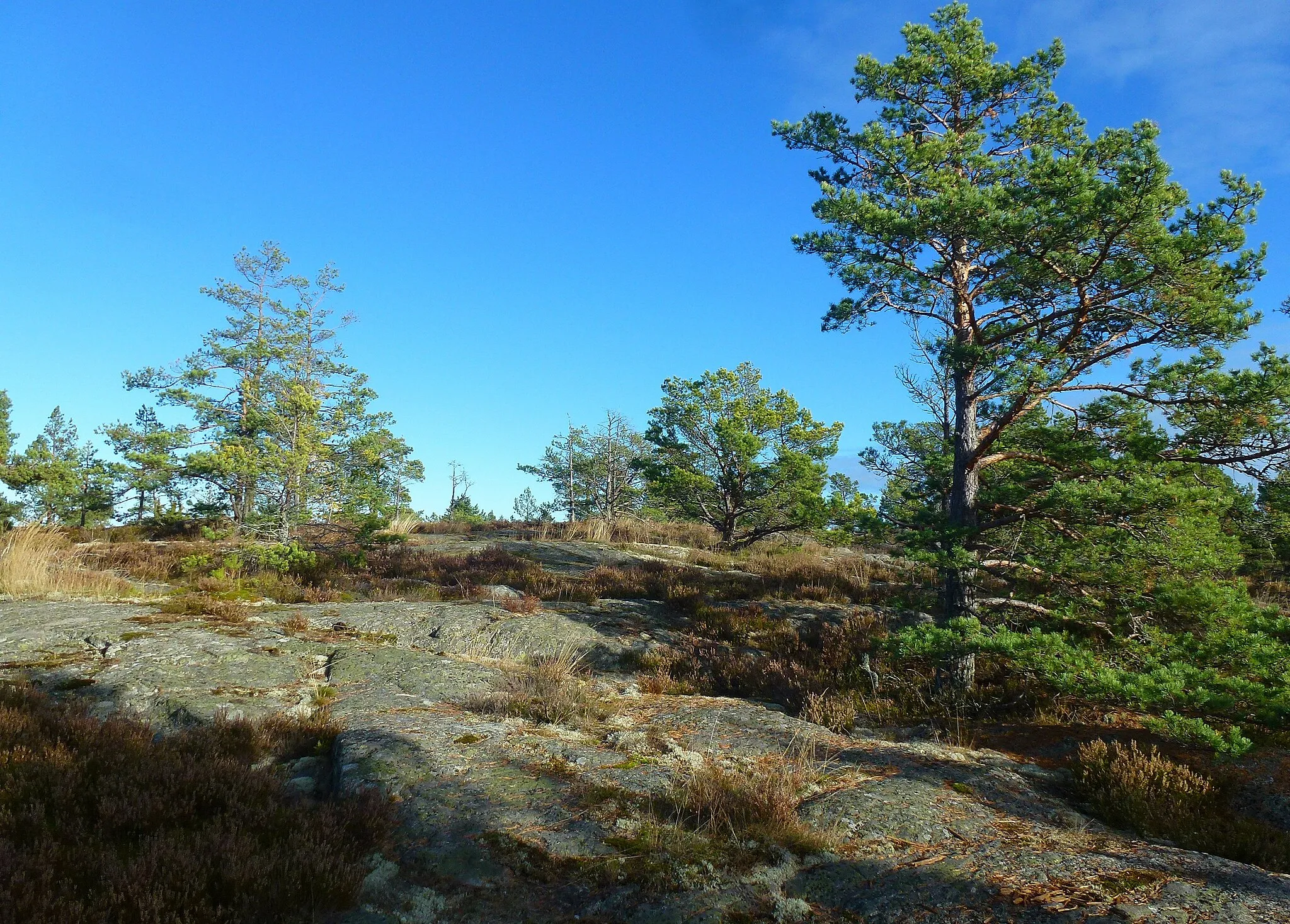 Photo showing: Himlaberget i Velamsunds naturresrevat, Nacka kommun