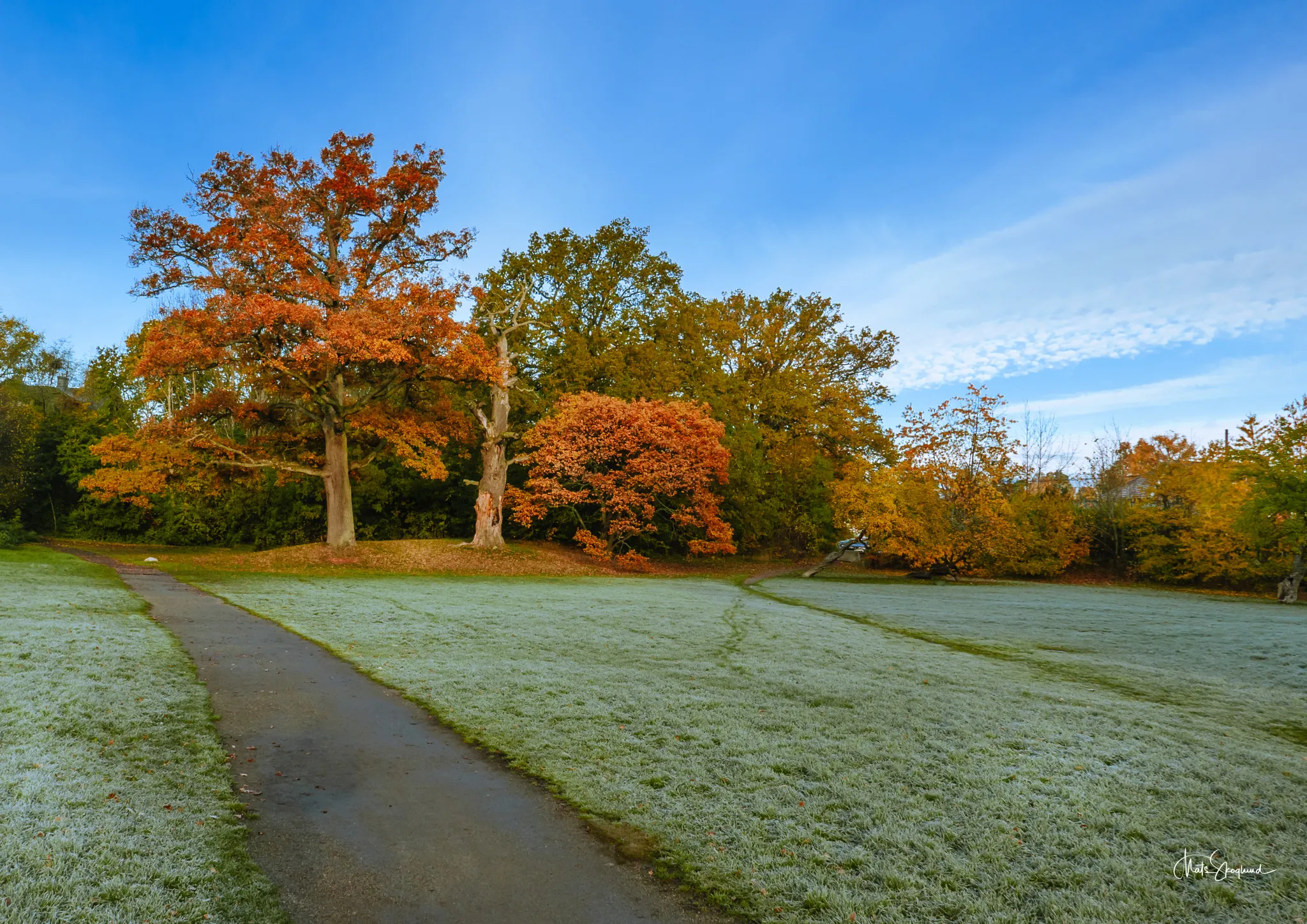 Photo showing: 500px provided description: Autumn morning in the park. [#autumn ,#park ,#landscape ,#scenery ,#Trees ,#Outdoor]