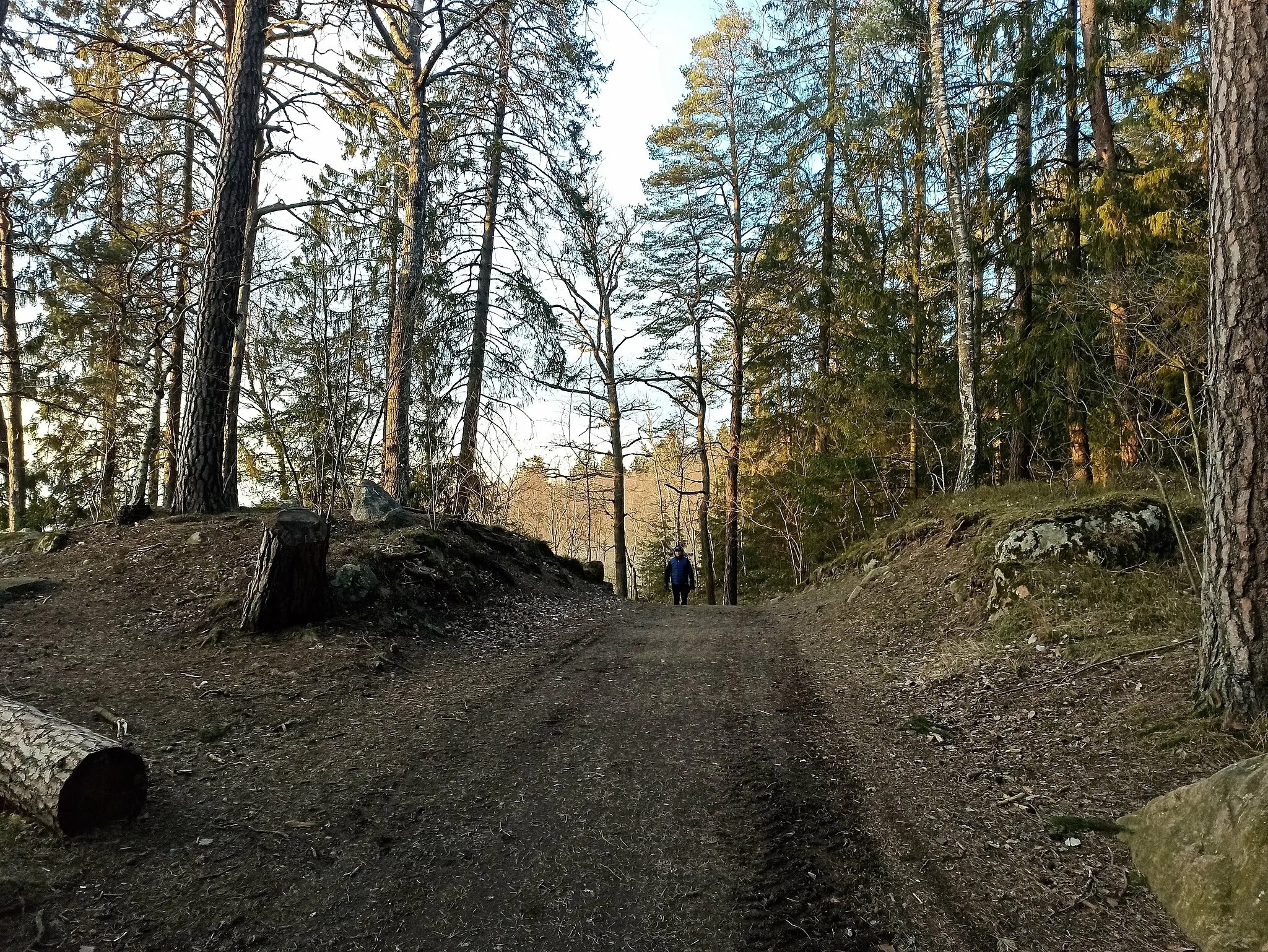 Photo showing: Forest around Ravalen Lake