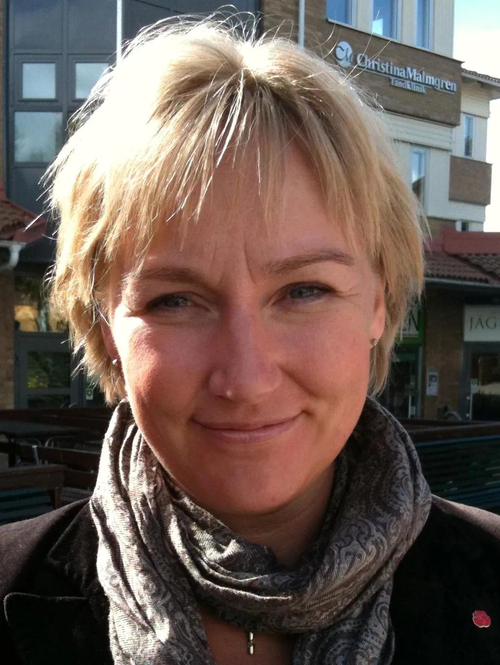 Photo showing: Helene Hellmark Knutsson, Swedish politician representing the Swedish Labour party Socialdemokraterna