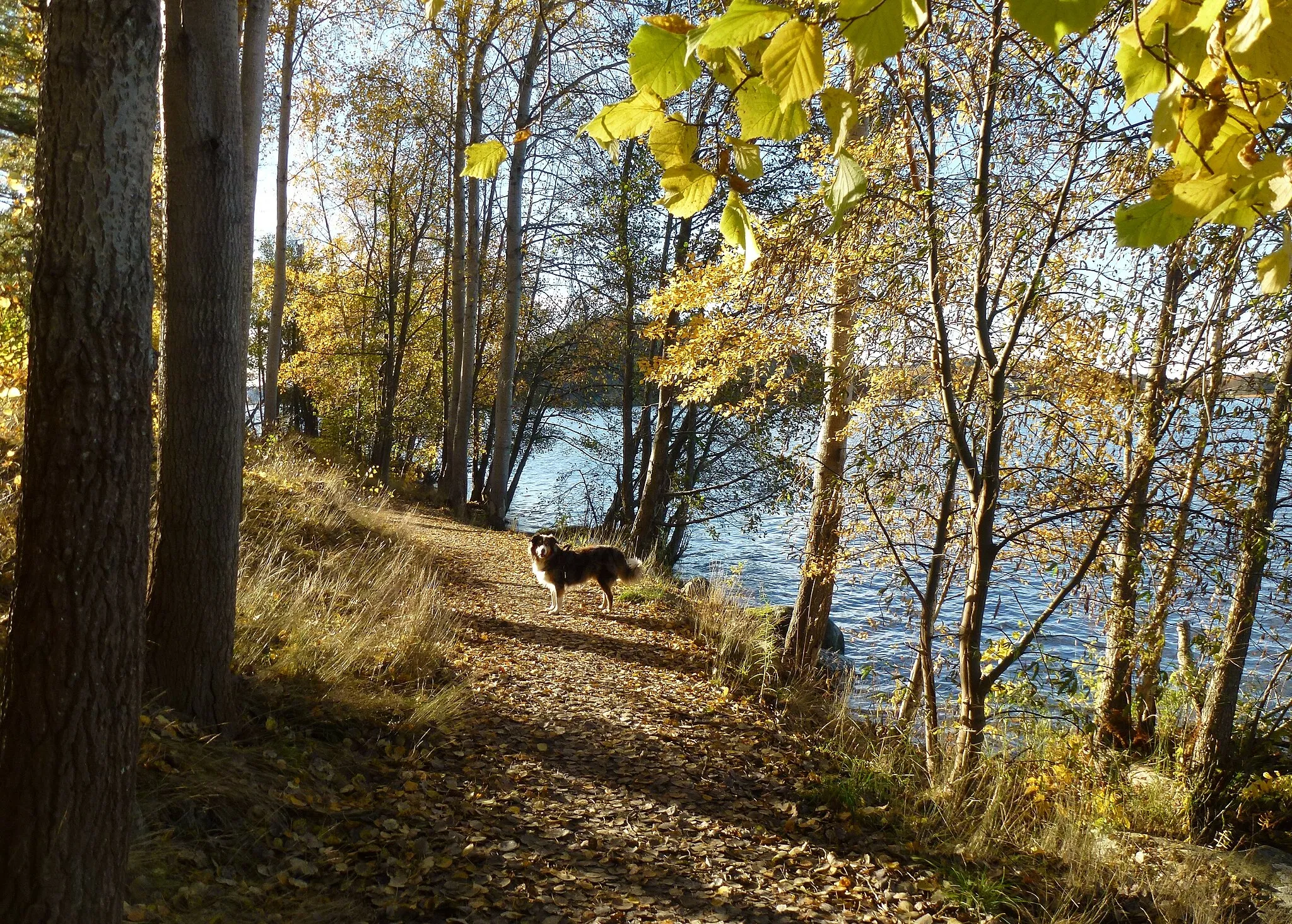 Photo showing: Skärholmens strandpromenad