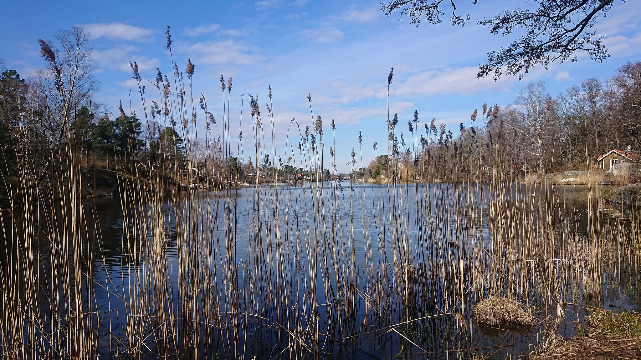 Photo showing: Foto taget från Långsjöns östra "kortsida".