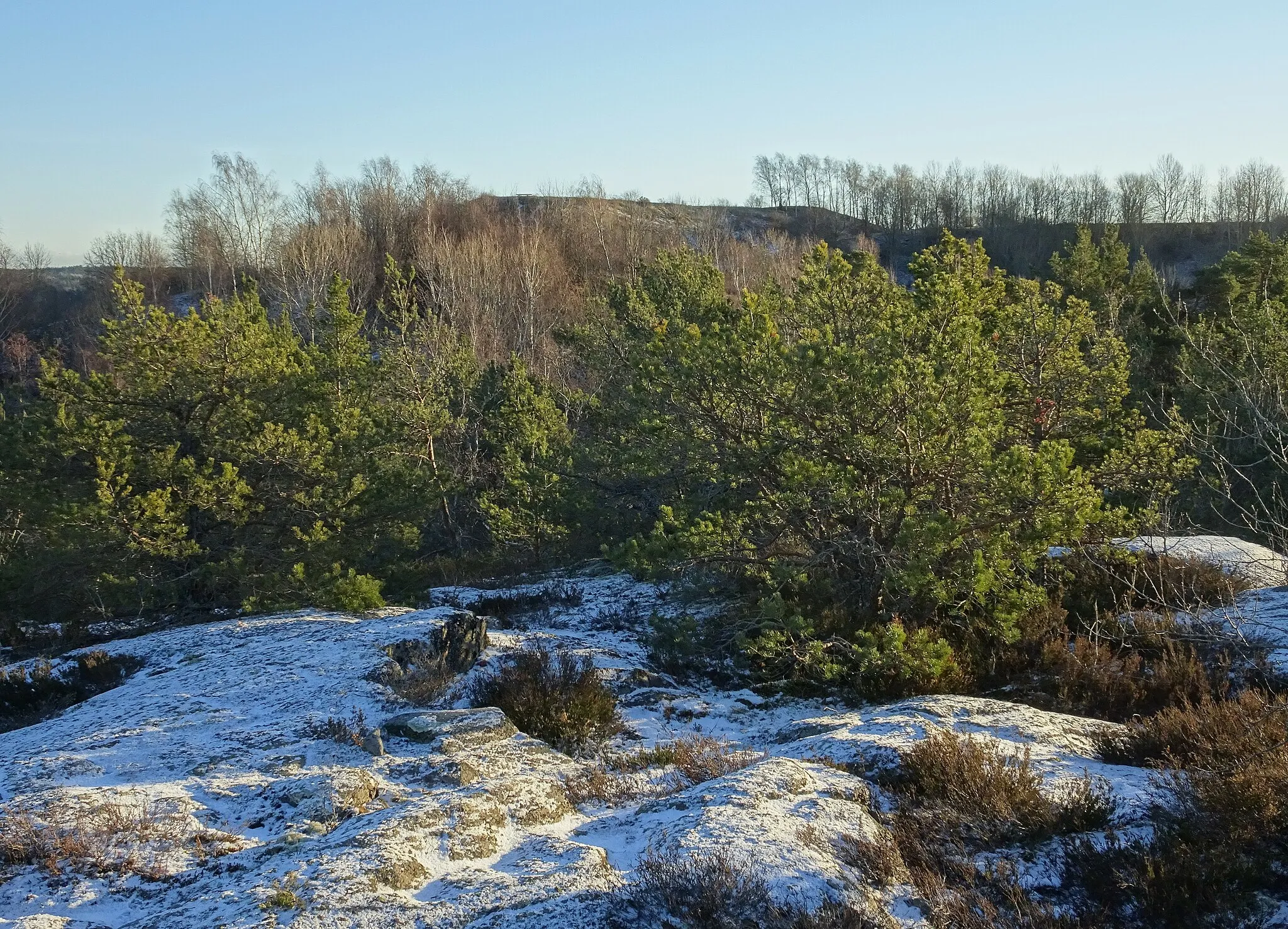 Photo showing: Vikingaberget, utsikt över Vårbergstoppen