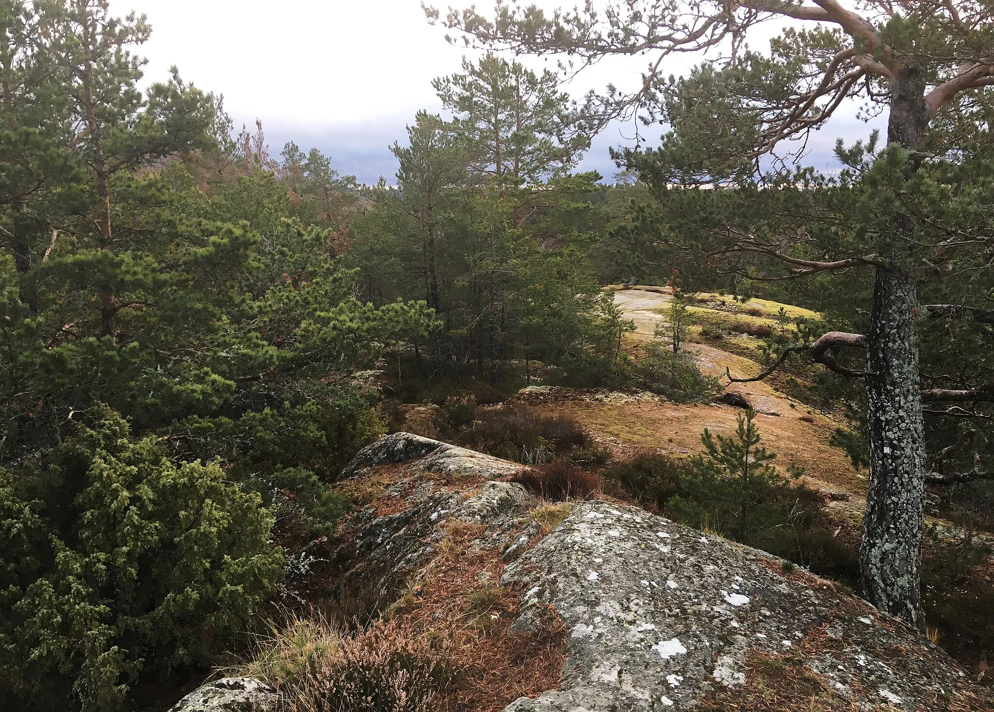 Photo showing: Vikingaberget Vårby, Stockholms högsta naturliga punkt