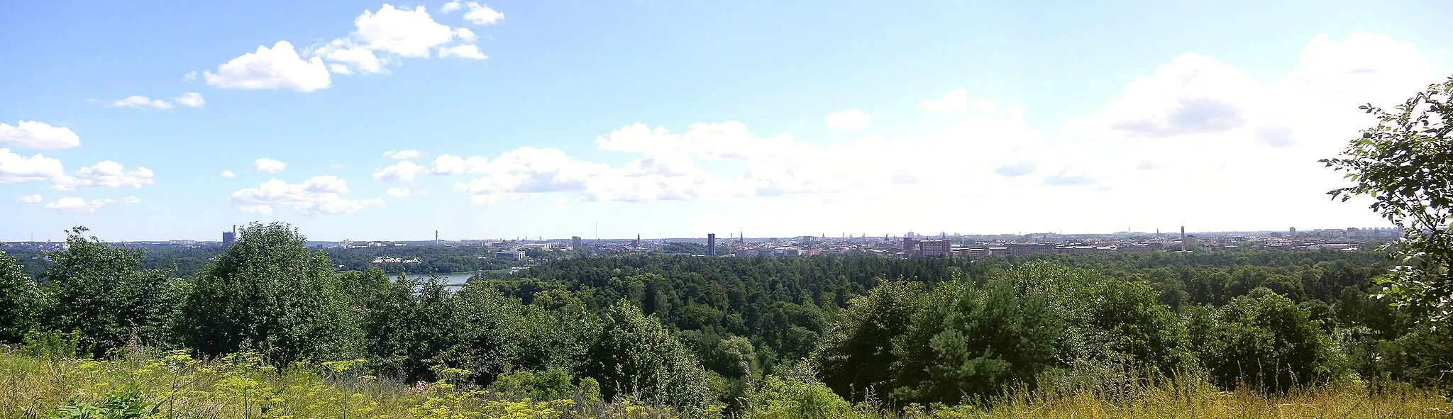 Photo showing: Frösundatoppen i Hagaparken