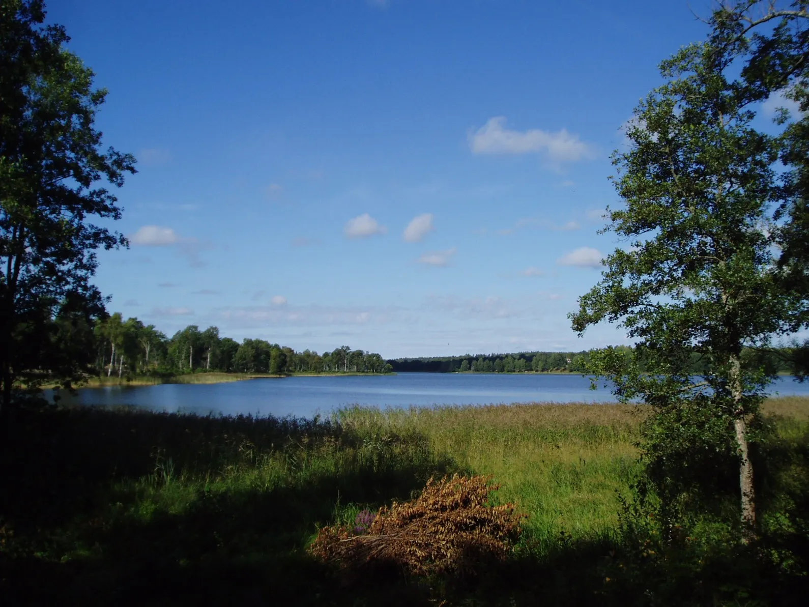 Photo showing: Sparren, Norrtälje kommun, vy från öst