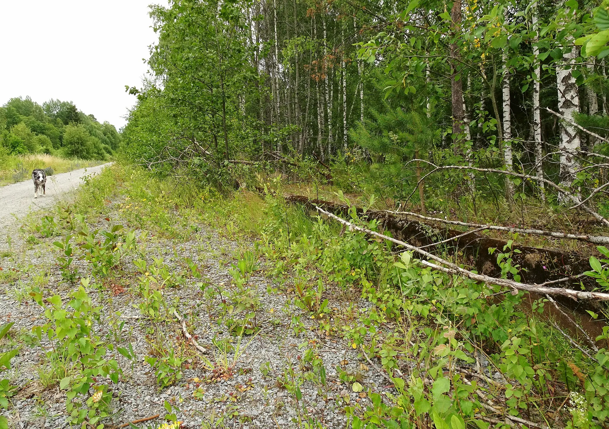 Photo showing: Almnäs station