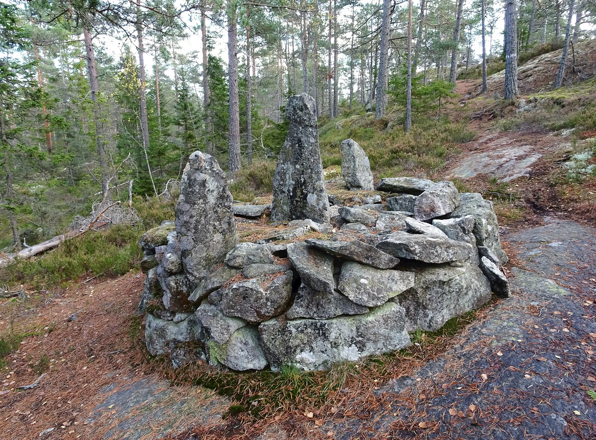 Photo showing: Stenröse vid nordöstra sidan av Tornberget