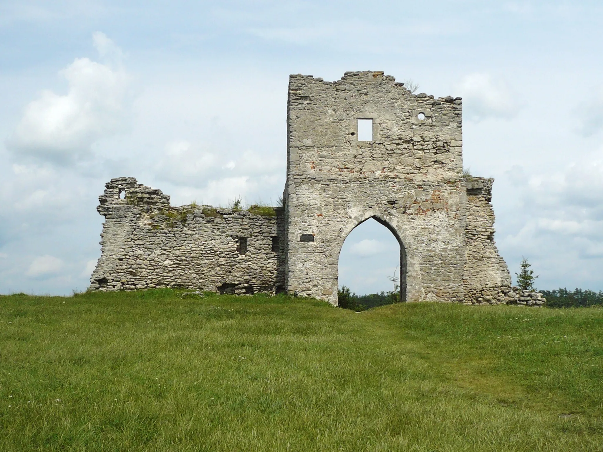 Photo showing: Zamek w Krzemieńcu